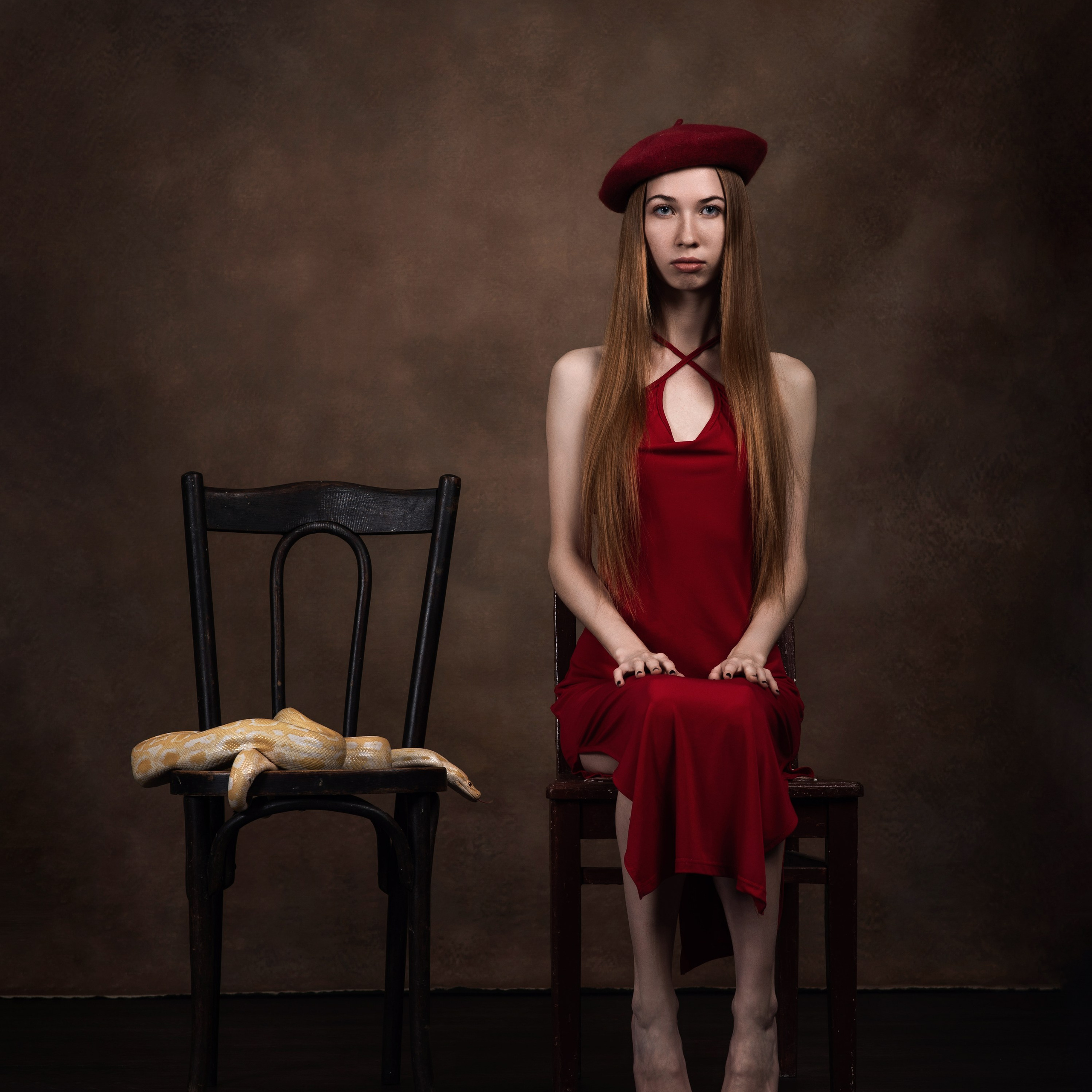 Змеи/питон/удав