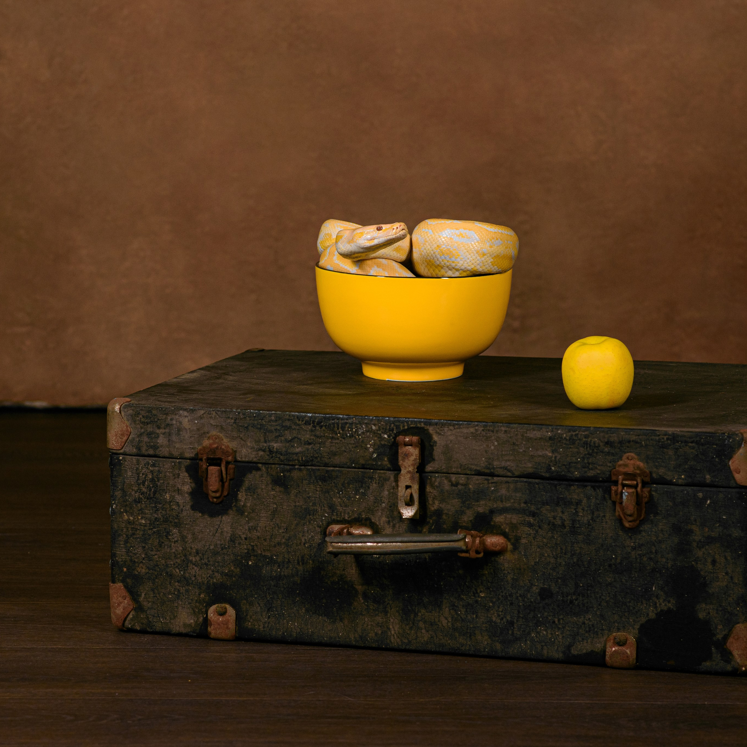 Фотосессия с питоном. Фотографы в Орле Шестопаловы Юлия и Юрий