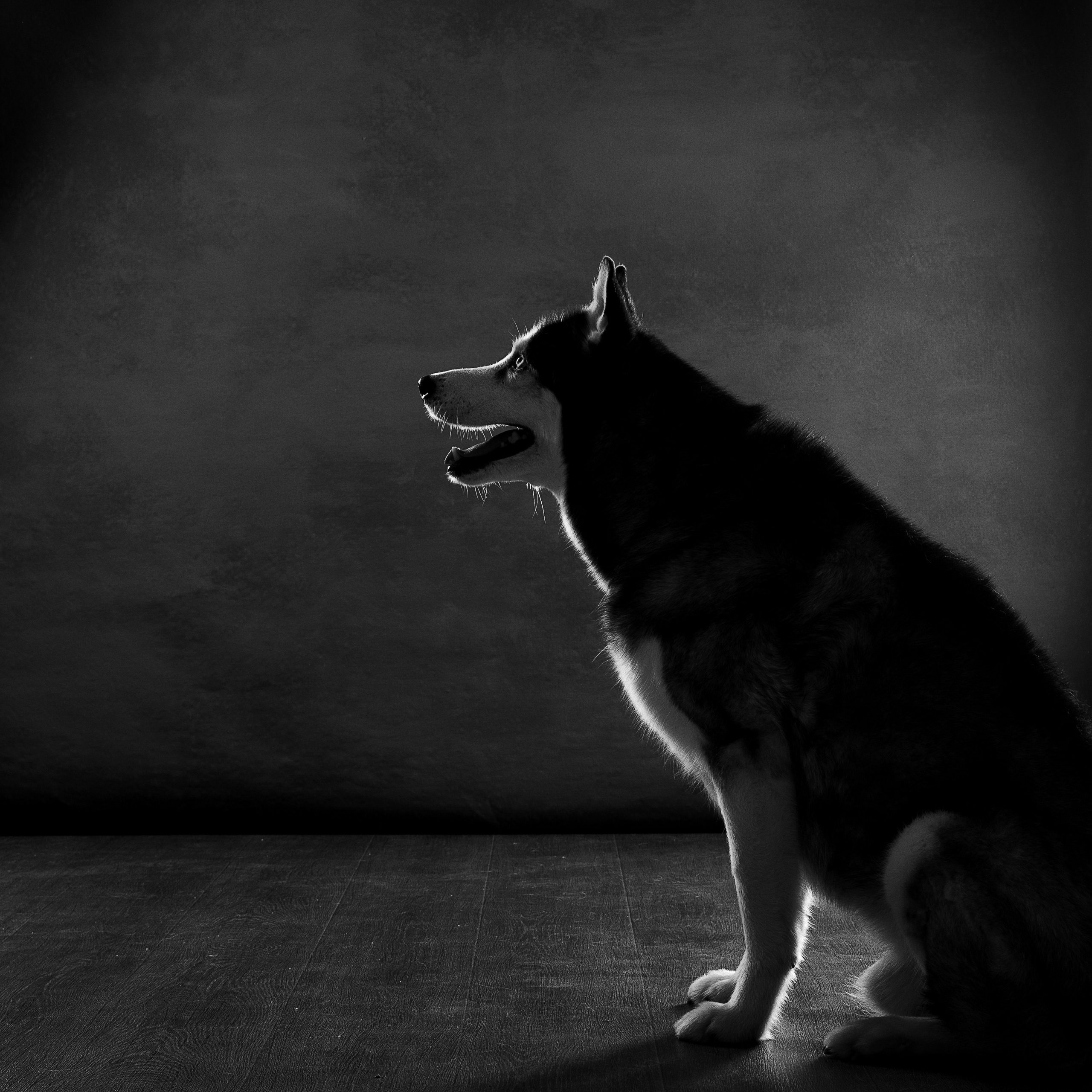 Надежда и Иван. Фотографы в Орле Шестопаловы Юлия и Юрий