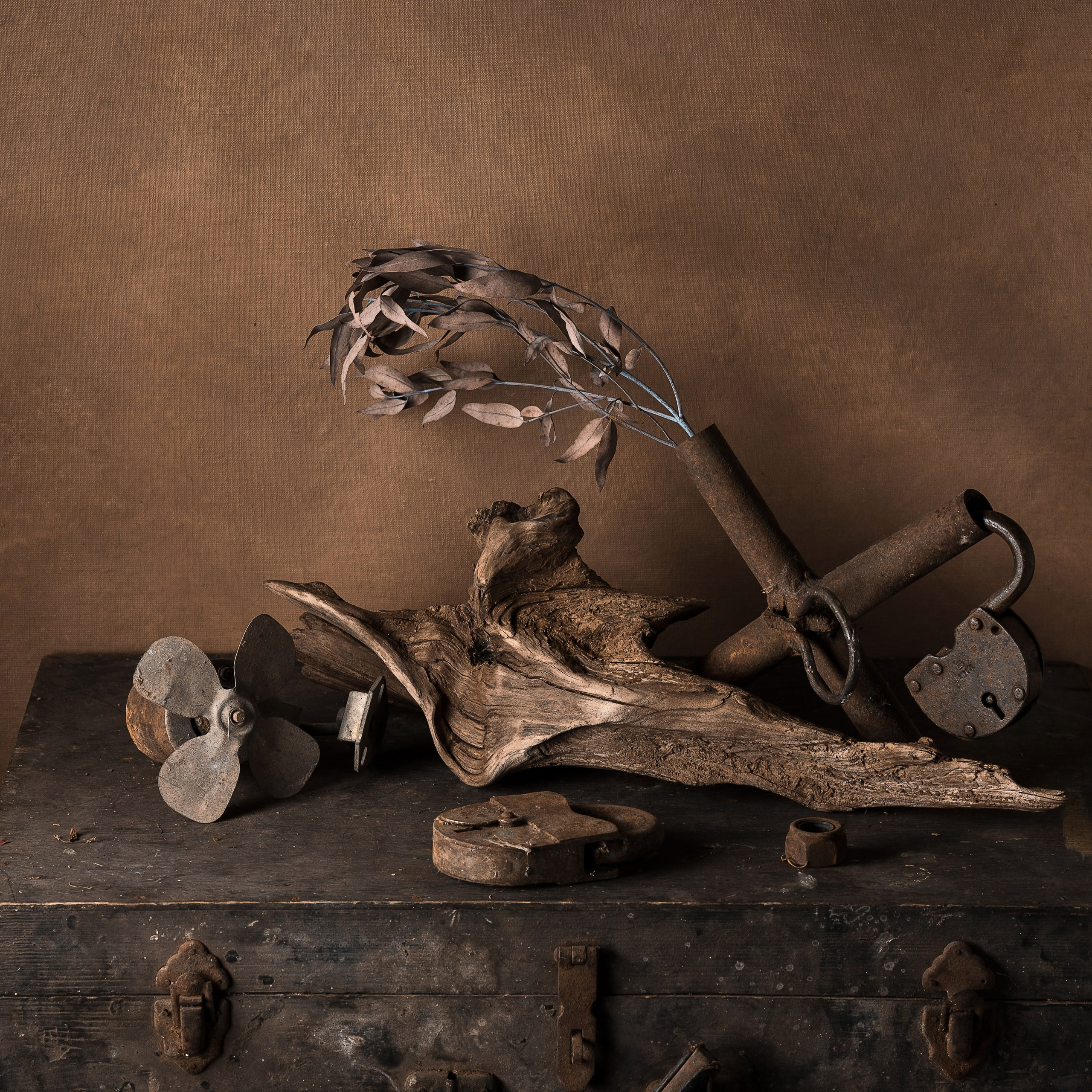 Натюрморт / Still Life. Профессиональный портретный фотограф в Орле Шестопалова Юлия