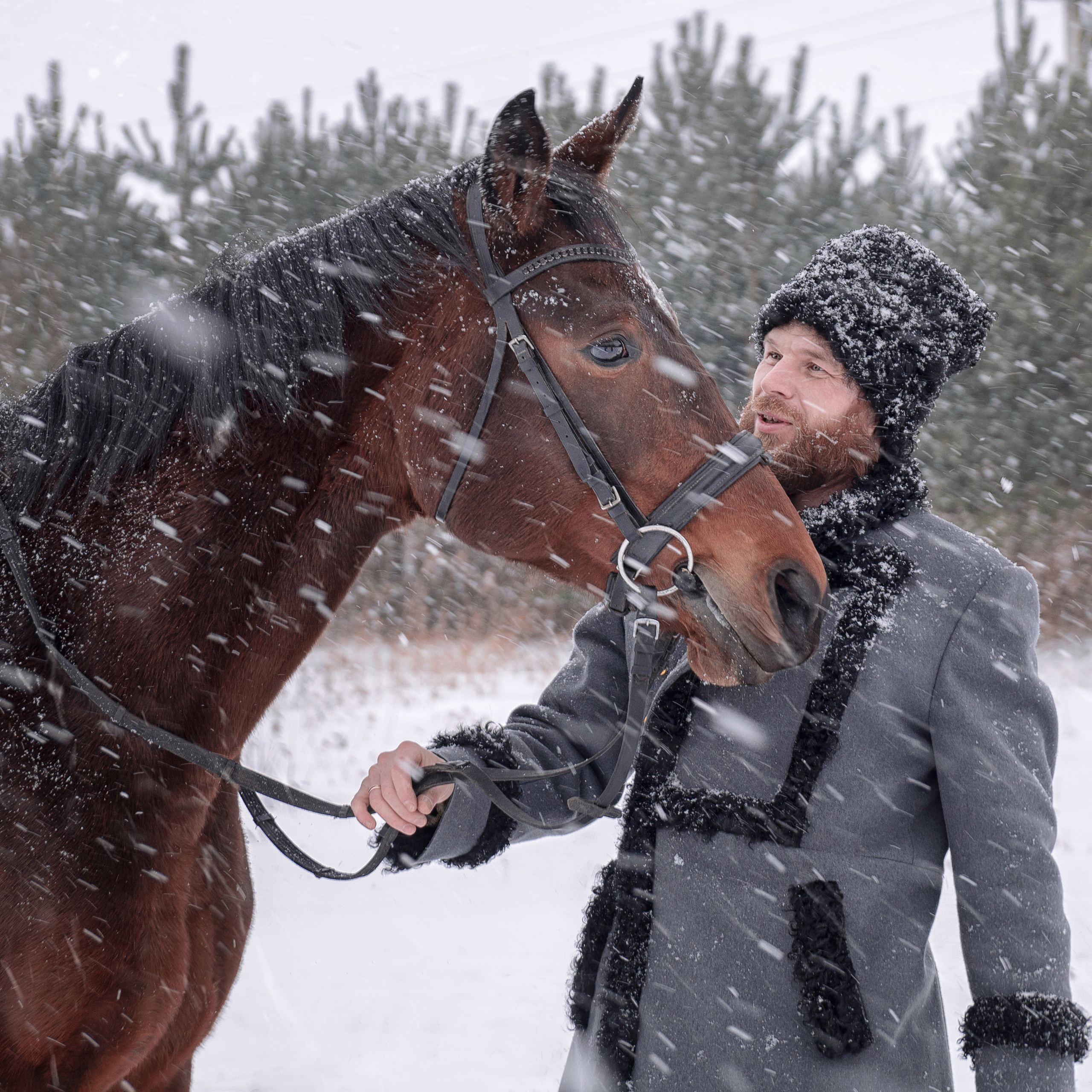 Сергей — зимняя фотосессия с лошадьми
