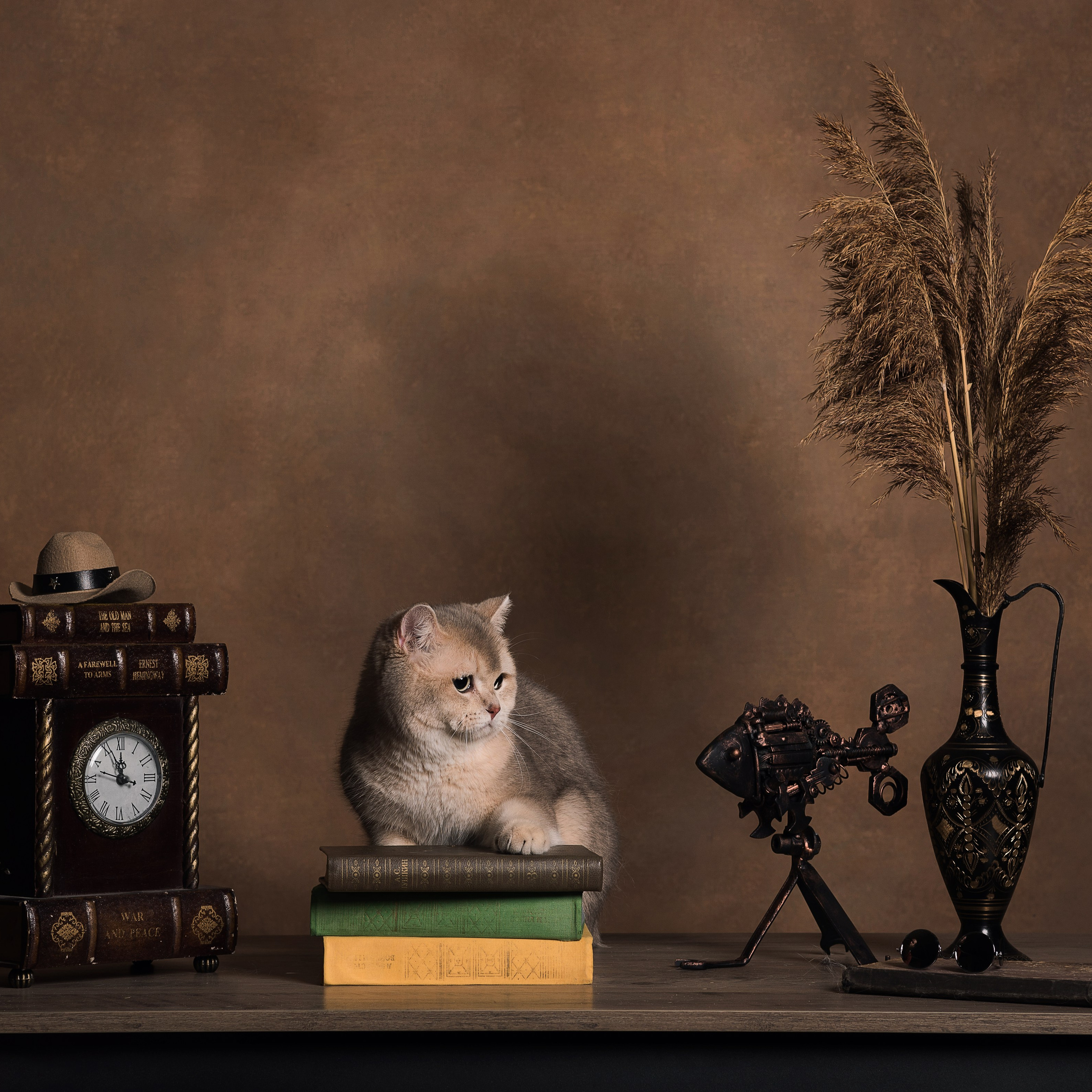 Алексей и коты. Фотографы в Орле Шестопаловы Юлия и Юрий