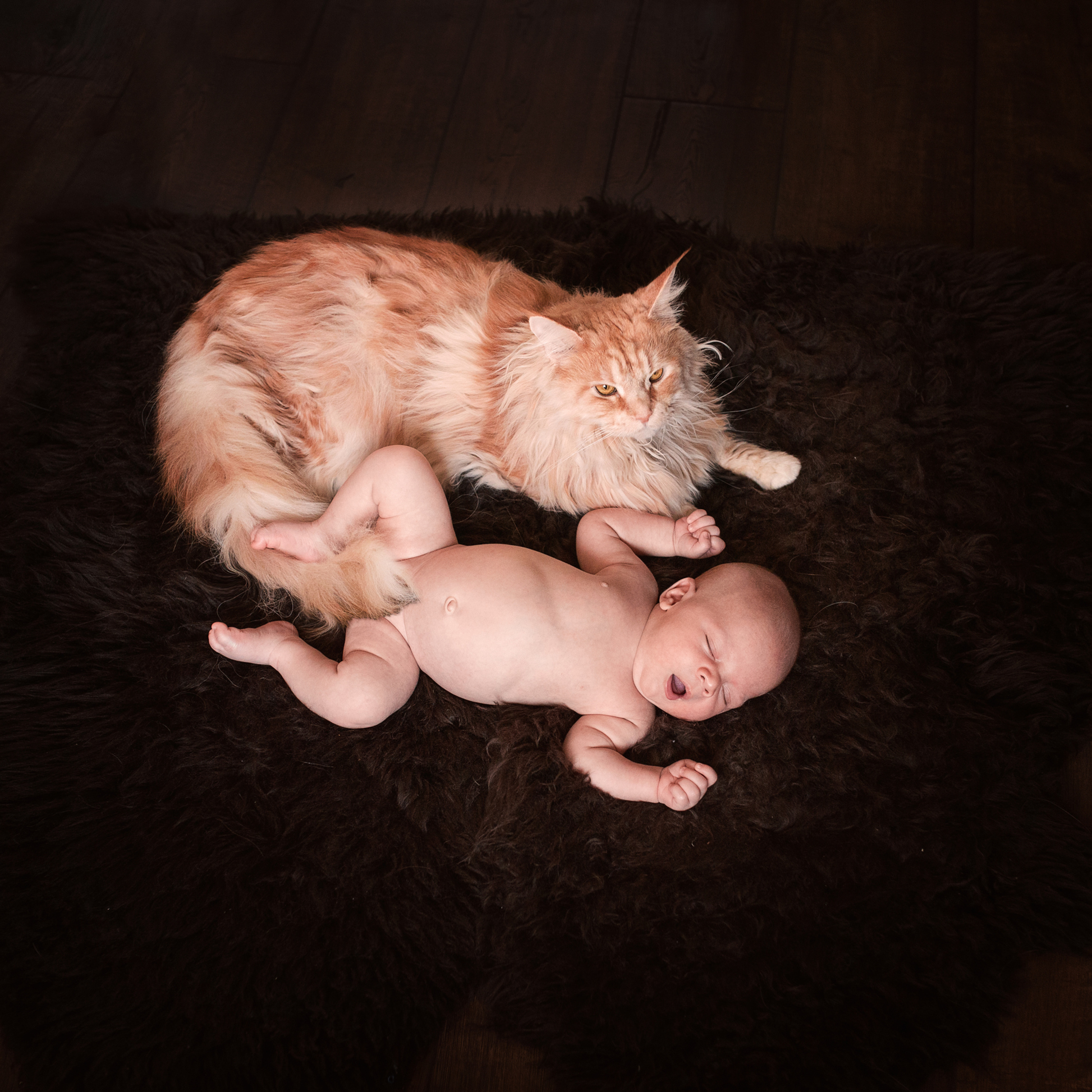 Николай. Фотографы в Орле Шестопаловы Юлия и Юрий