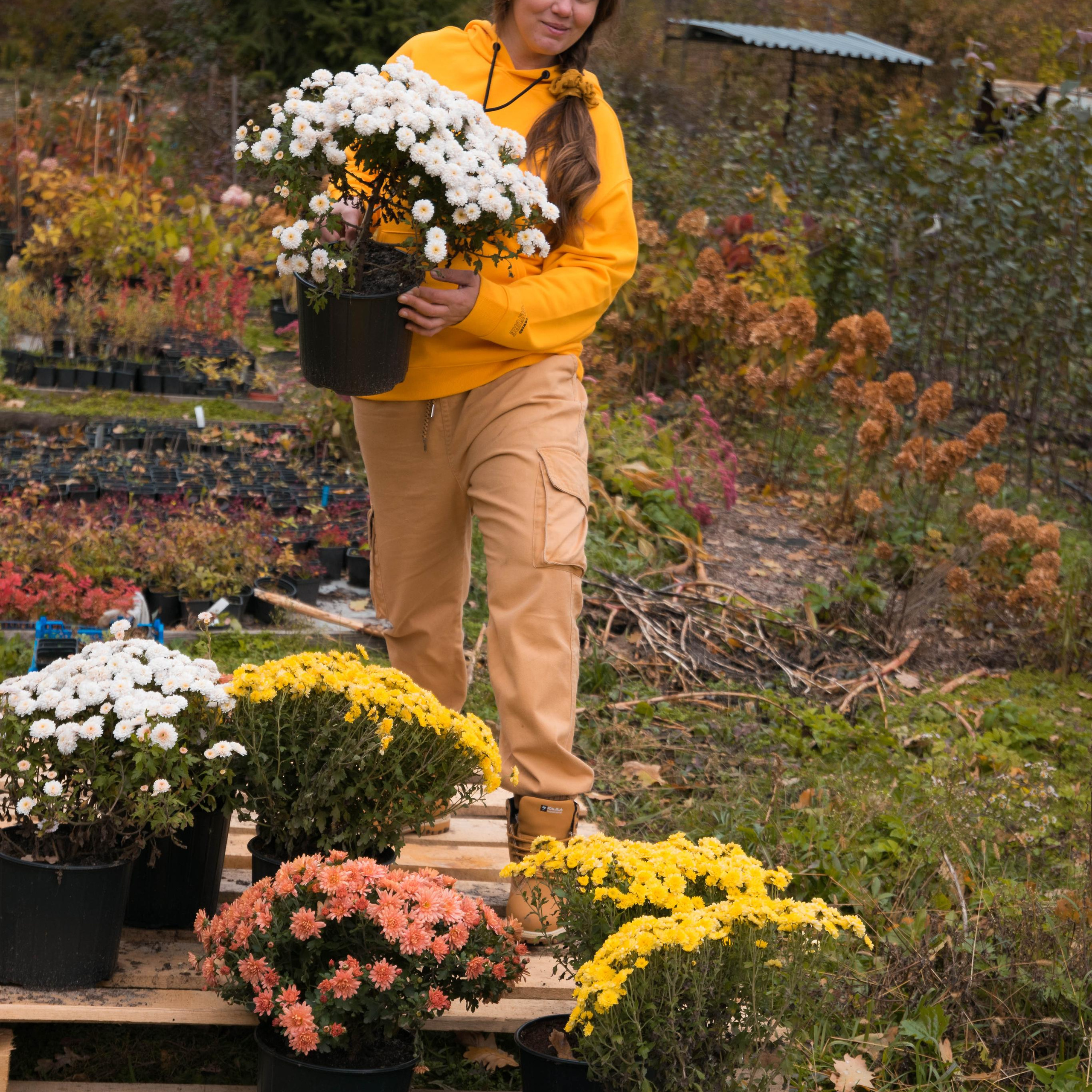 Карина — питомник. Фотографы в Орле Шестопаловы Юлия и Юрий