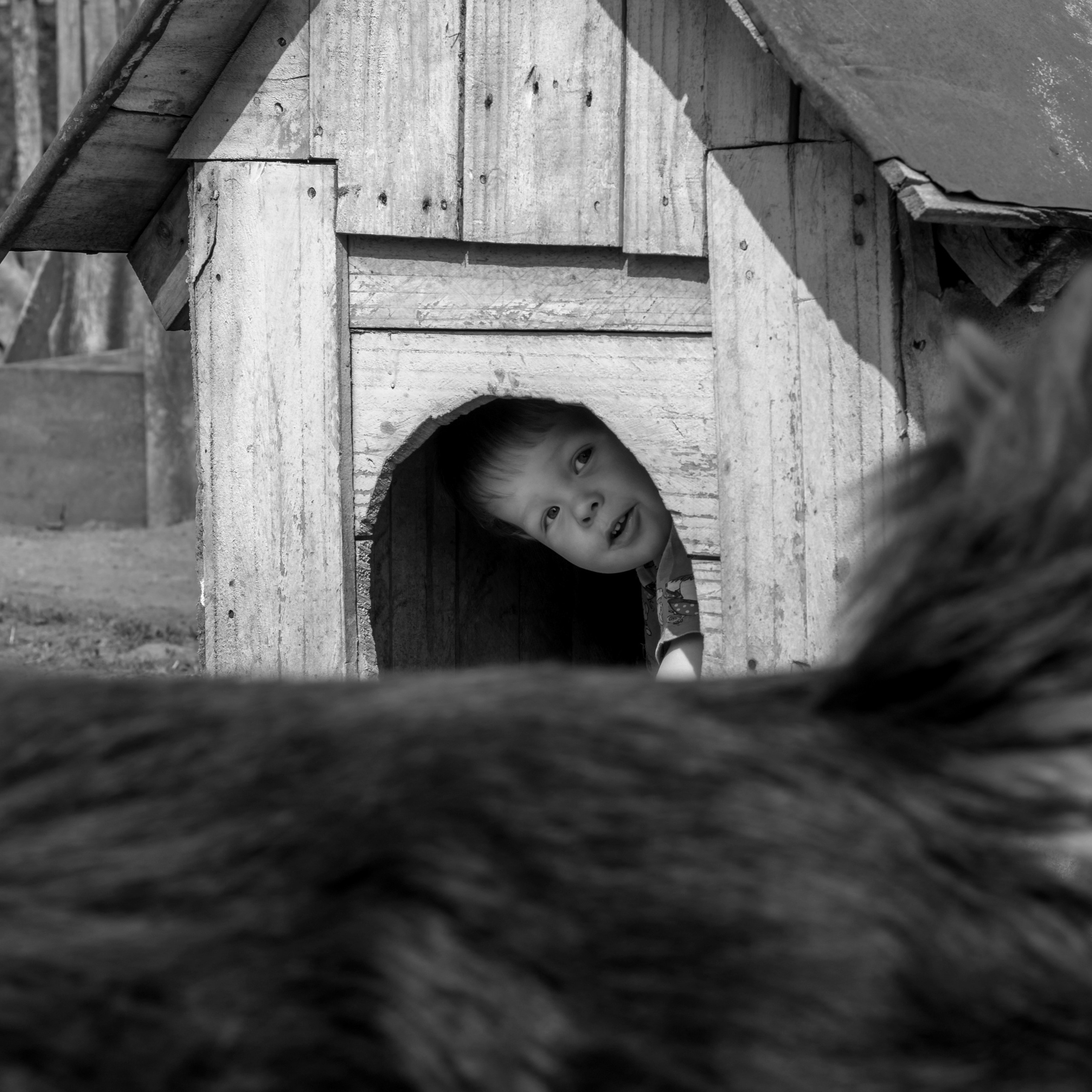 Деревня / Village. Профессиональный портретный фотограф в Орле Шестопалова Юлия