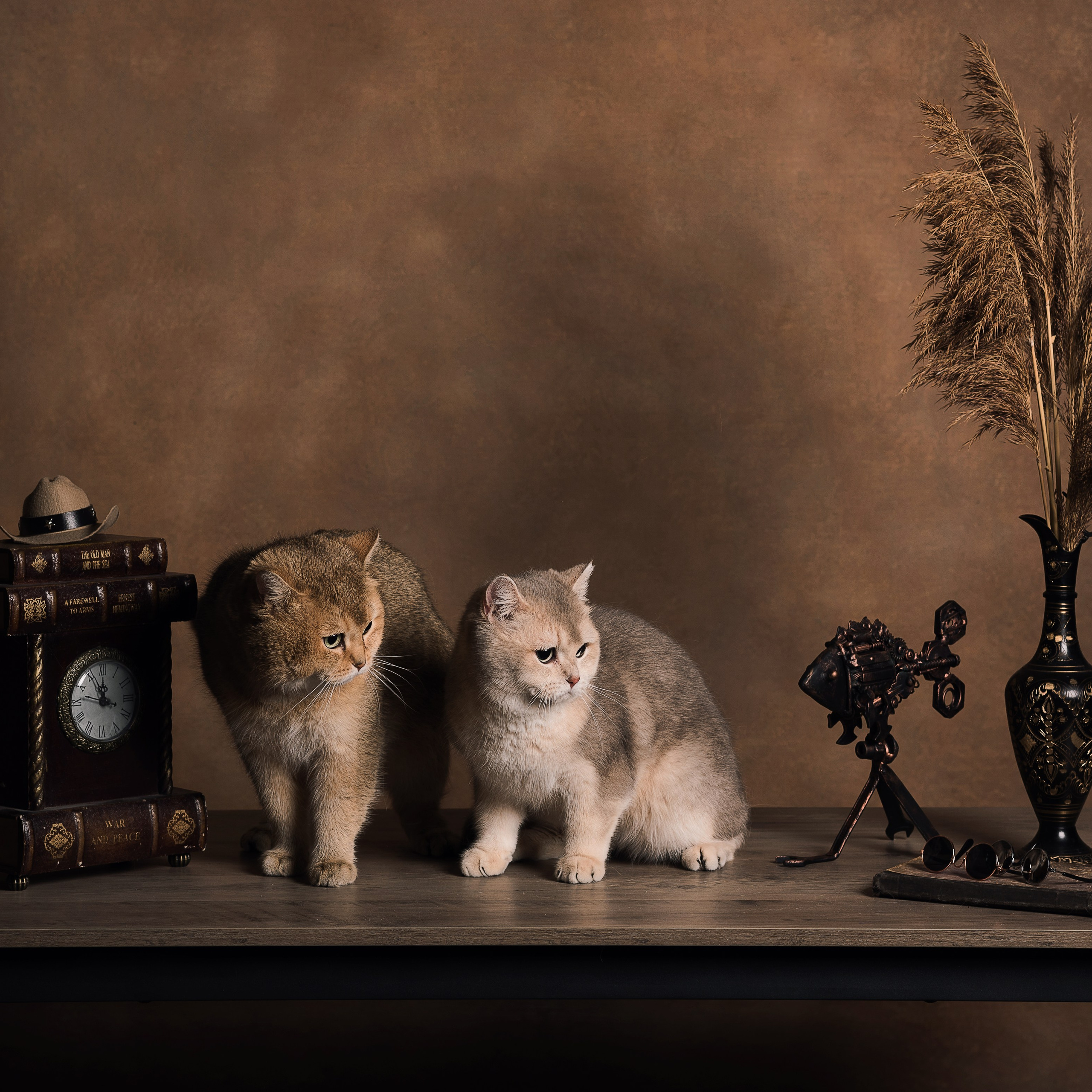 Алексей и коты. Фотографы в Орле Шестопаловы Юлия и Юрий