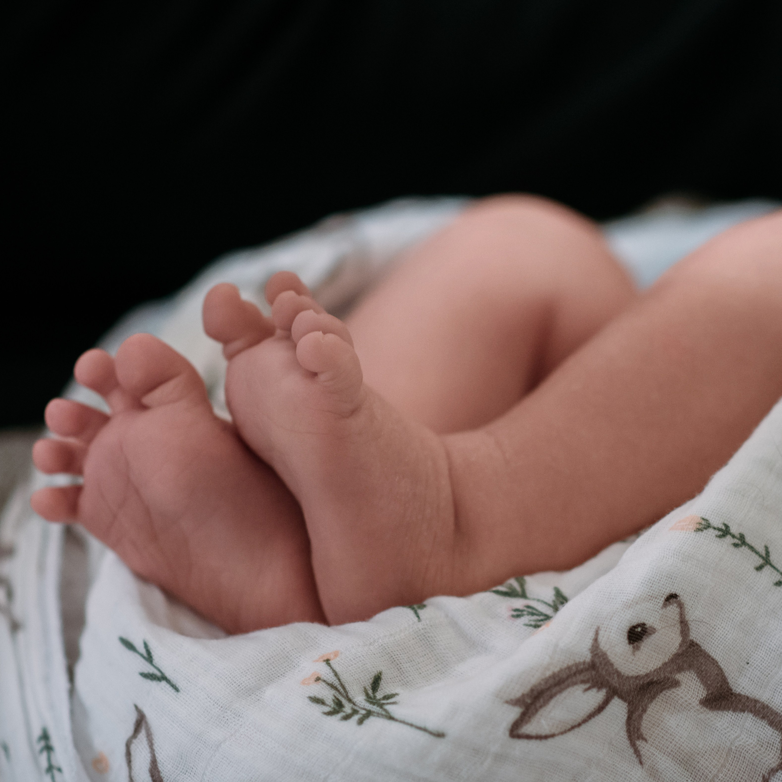 Владимир. Фотографы в Орле Шестопаловы Юлия и Юрий