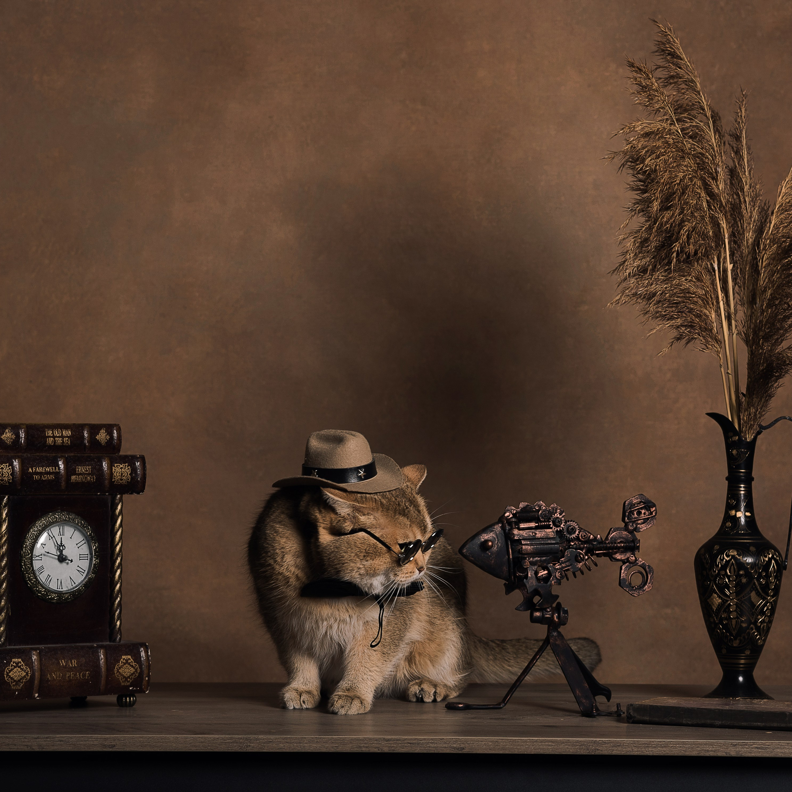 Кошки. Фотографы в Орле Шестопаловы Юлия и Юрий