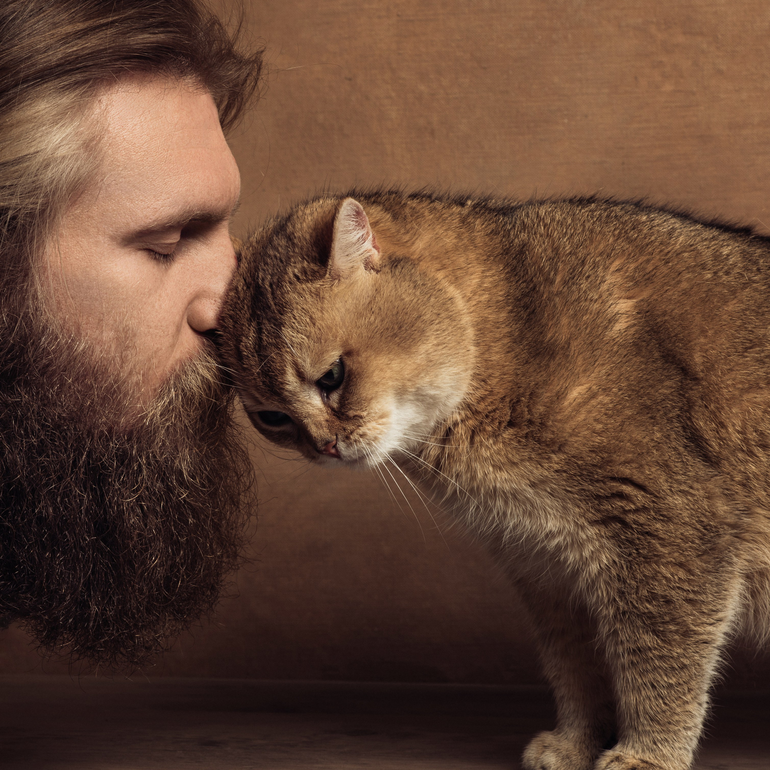 Фотосессия с котом