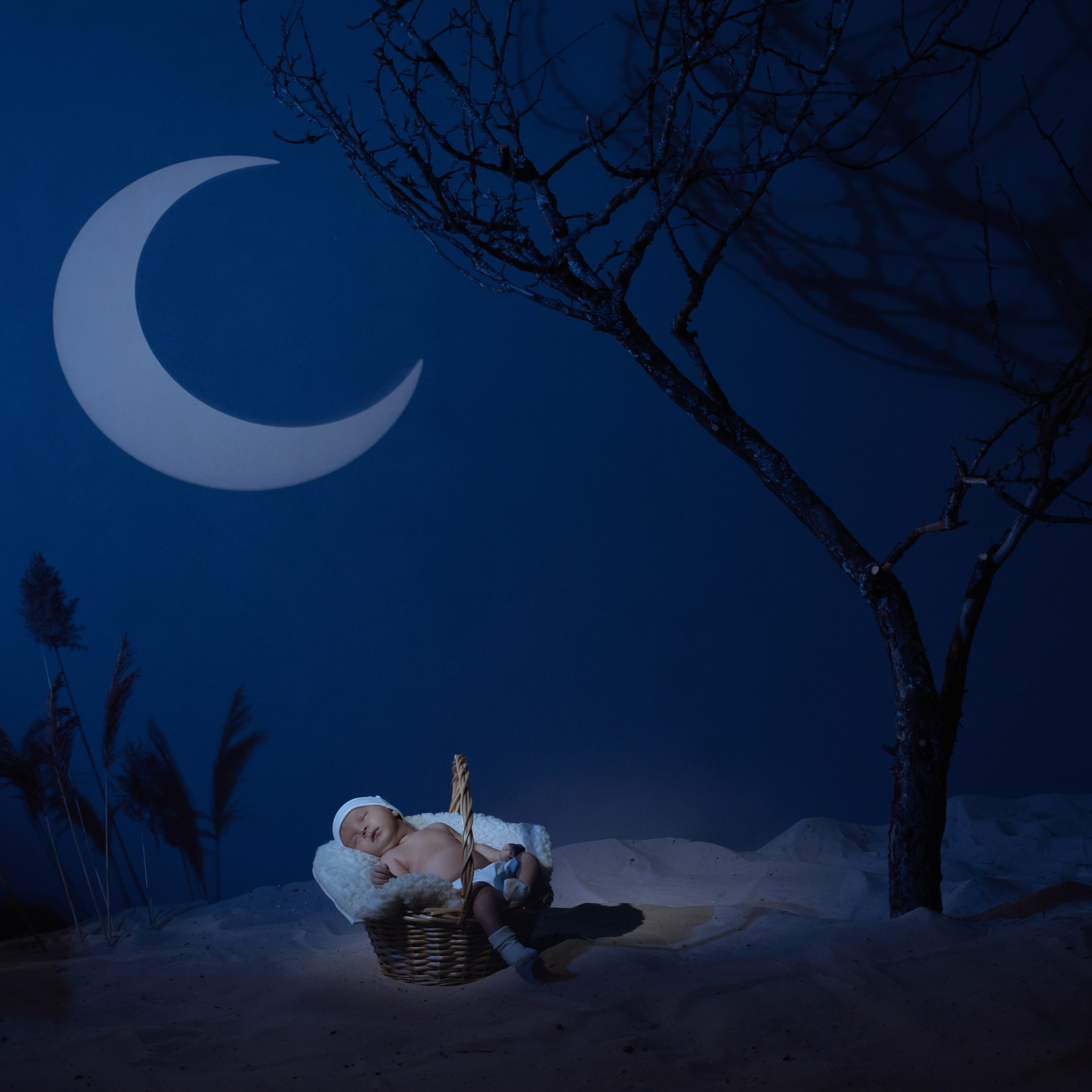 Владимир. Фотографы в Орле Шестопаловы Юлия и Юрий