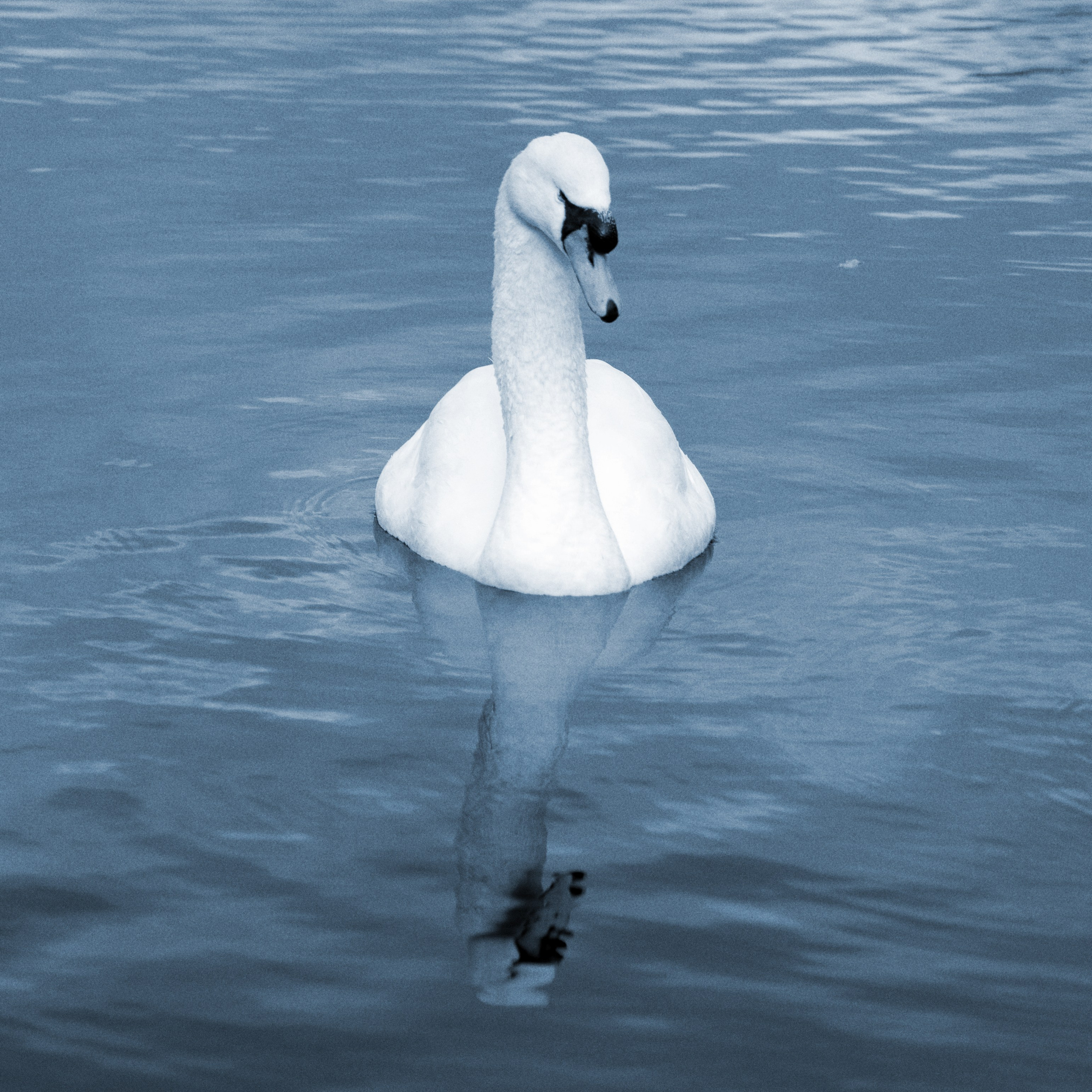 Путешествия. Фотографы в Орле Шестопаловы Юлия и Юрий