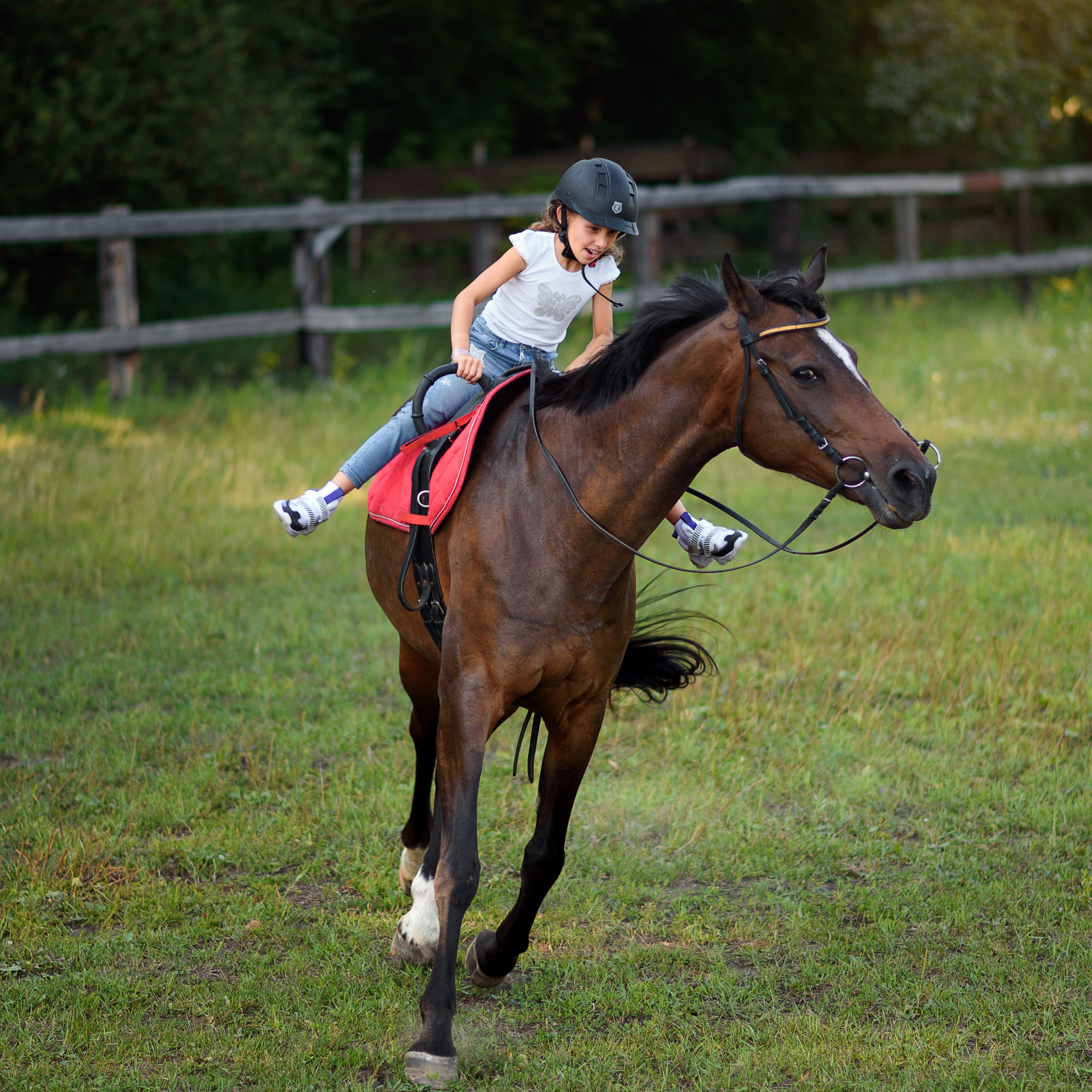 Лиза. Фотографы в Орле Шестопаловы Юлия и Юрий