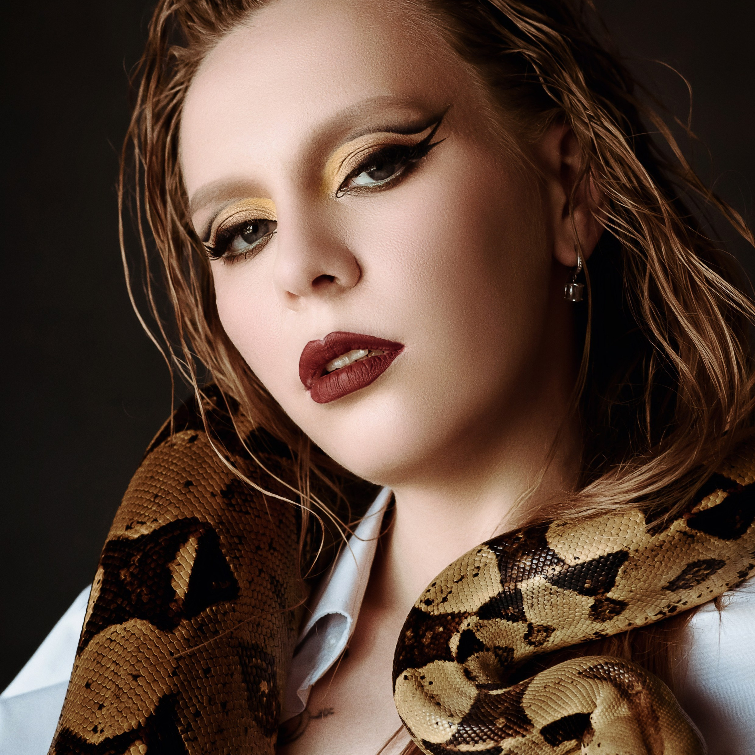 Змеи/питон/удав