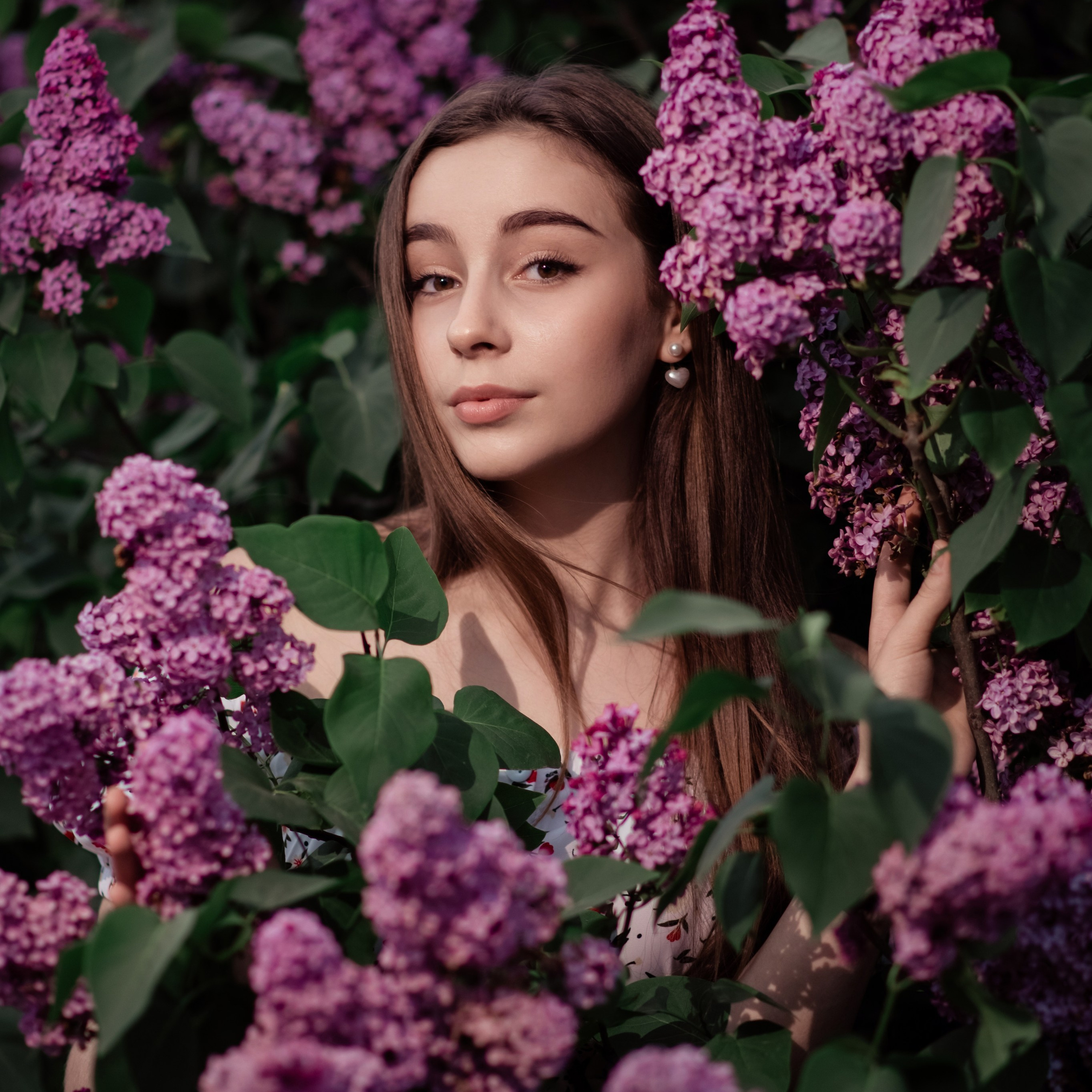 София, сирень