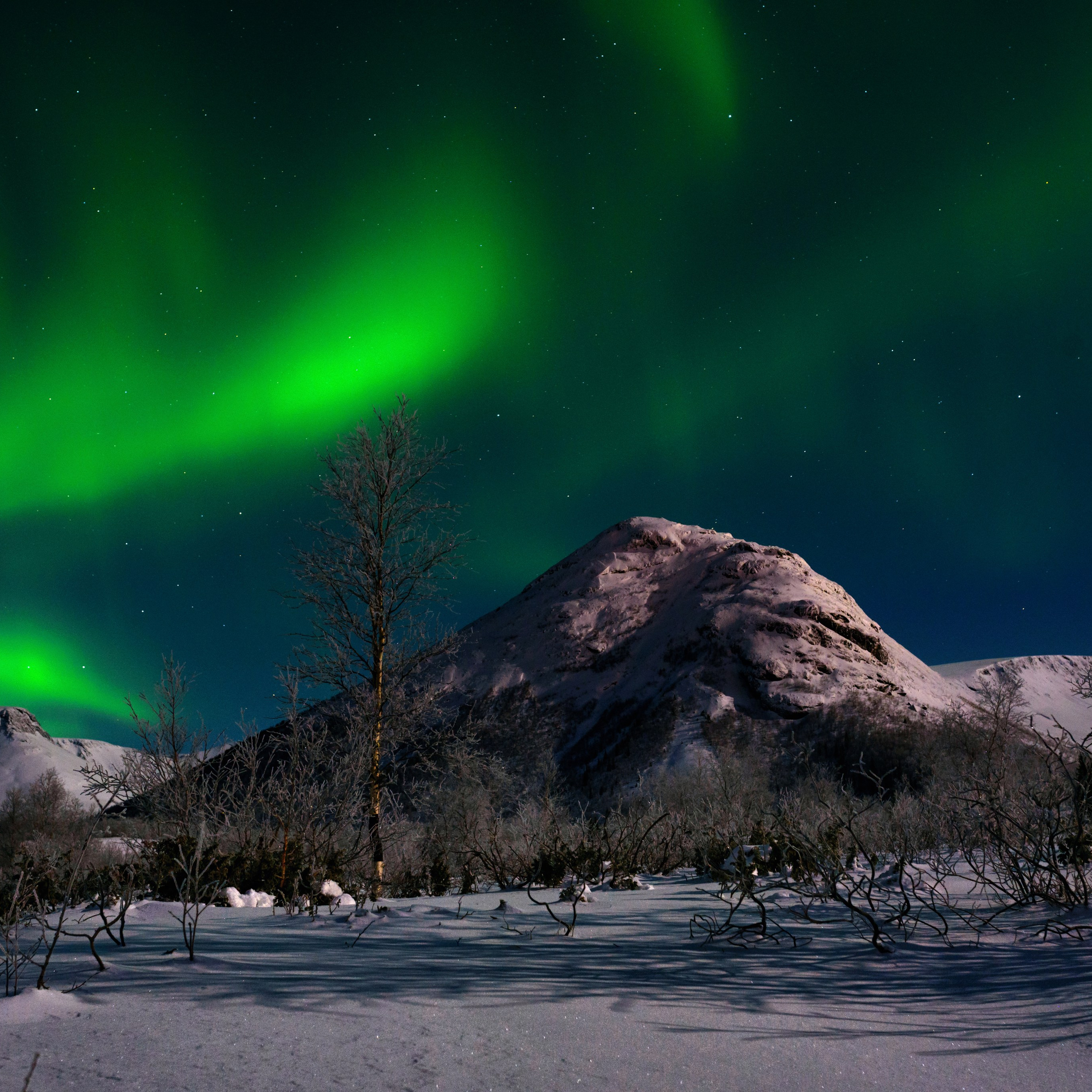 Путешествия. Фотографы в Орле Шестопаловы Юлия и Юрий