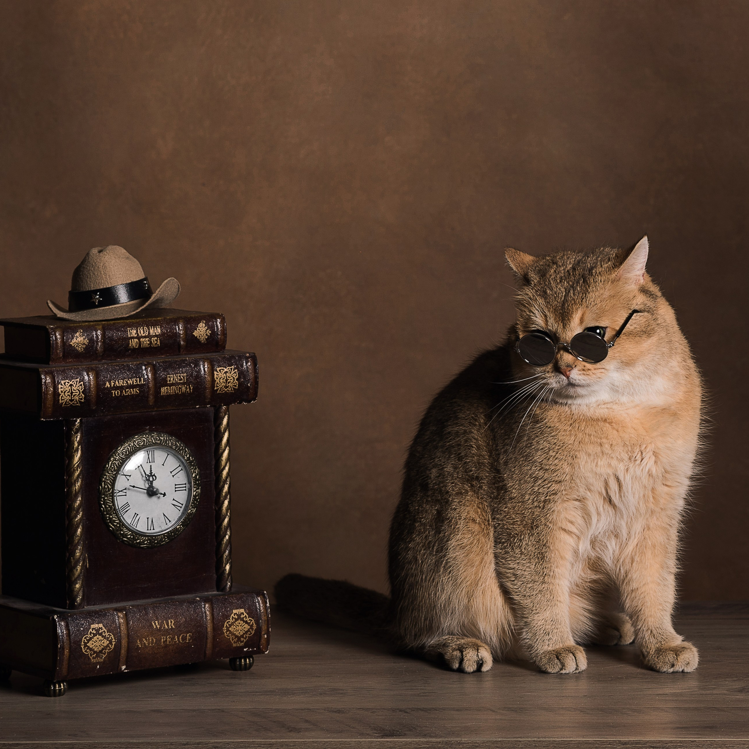 Алексей и коты. Фотографы в Орле Шестопаловы Юлия и Юрий