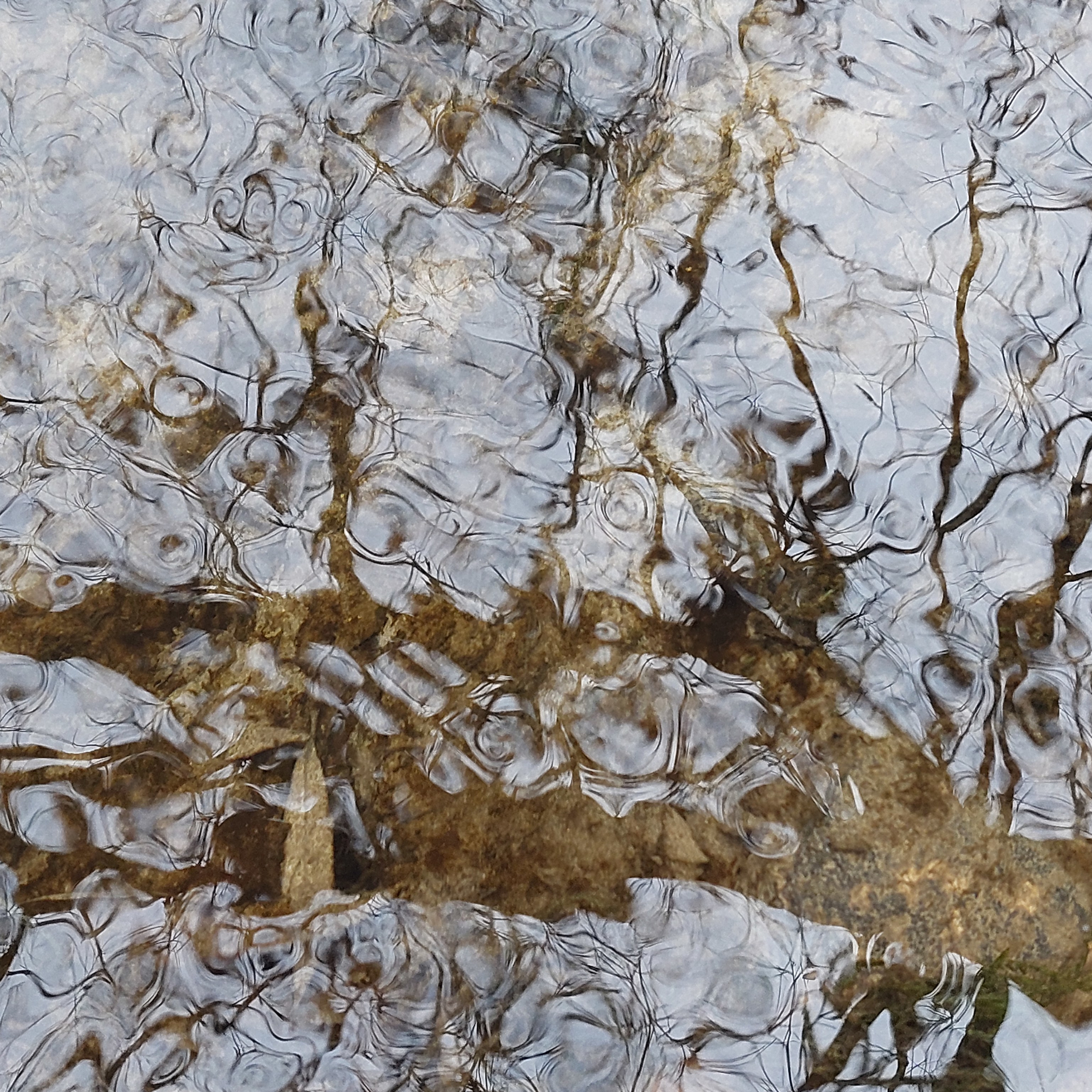 Отражения / Reflections. Профессиональный портретный фотограф в Орле Шестопалова Юлия