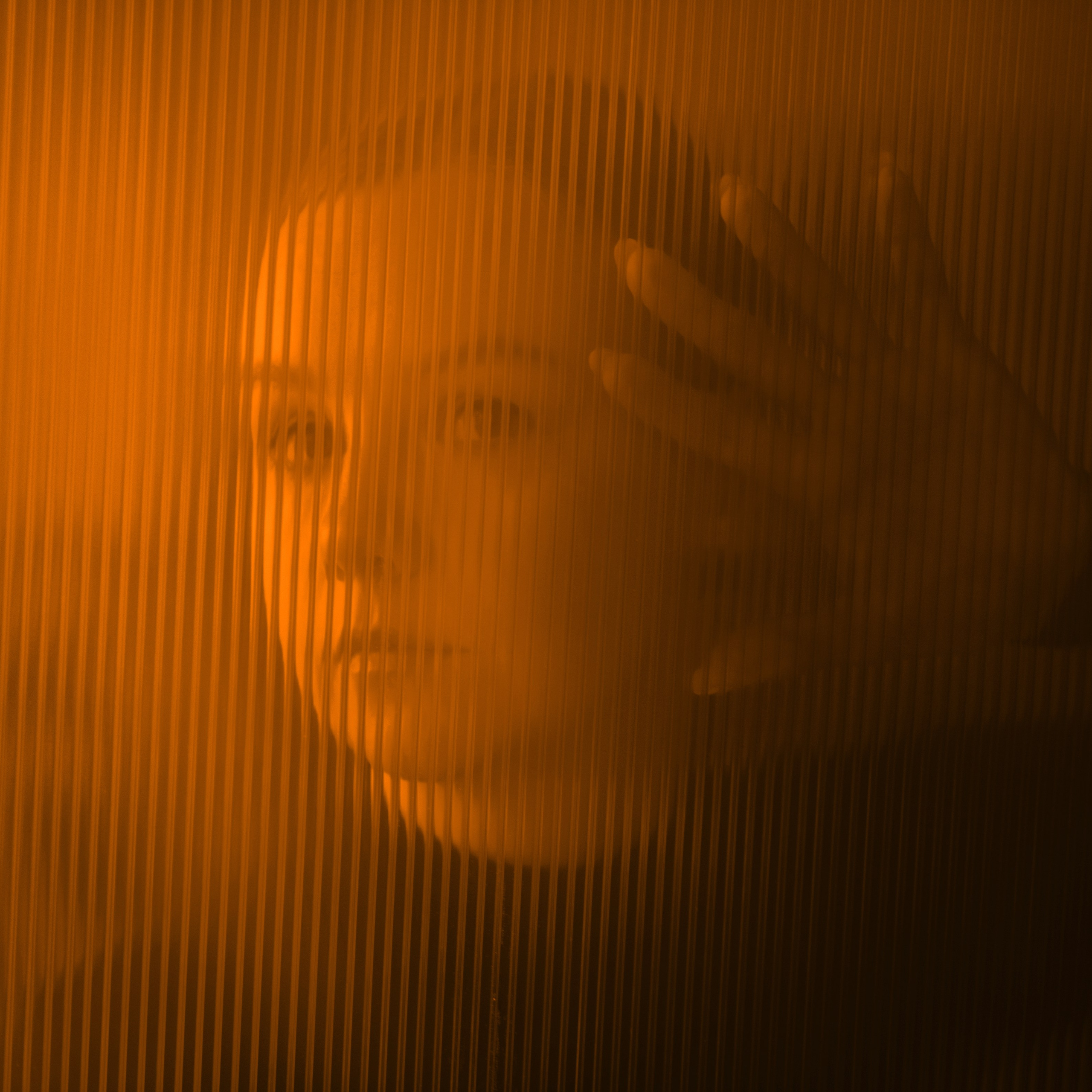 Ирина. Фотографы в Орле Шестопаловы Юлия и Юрий