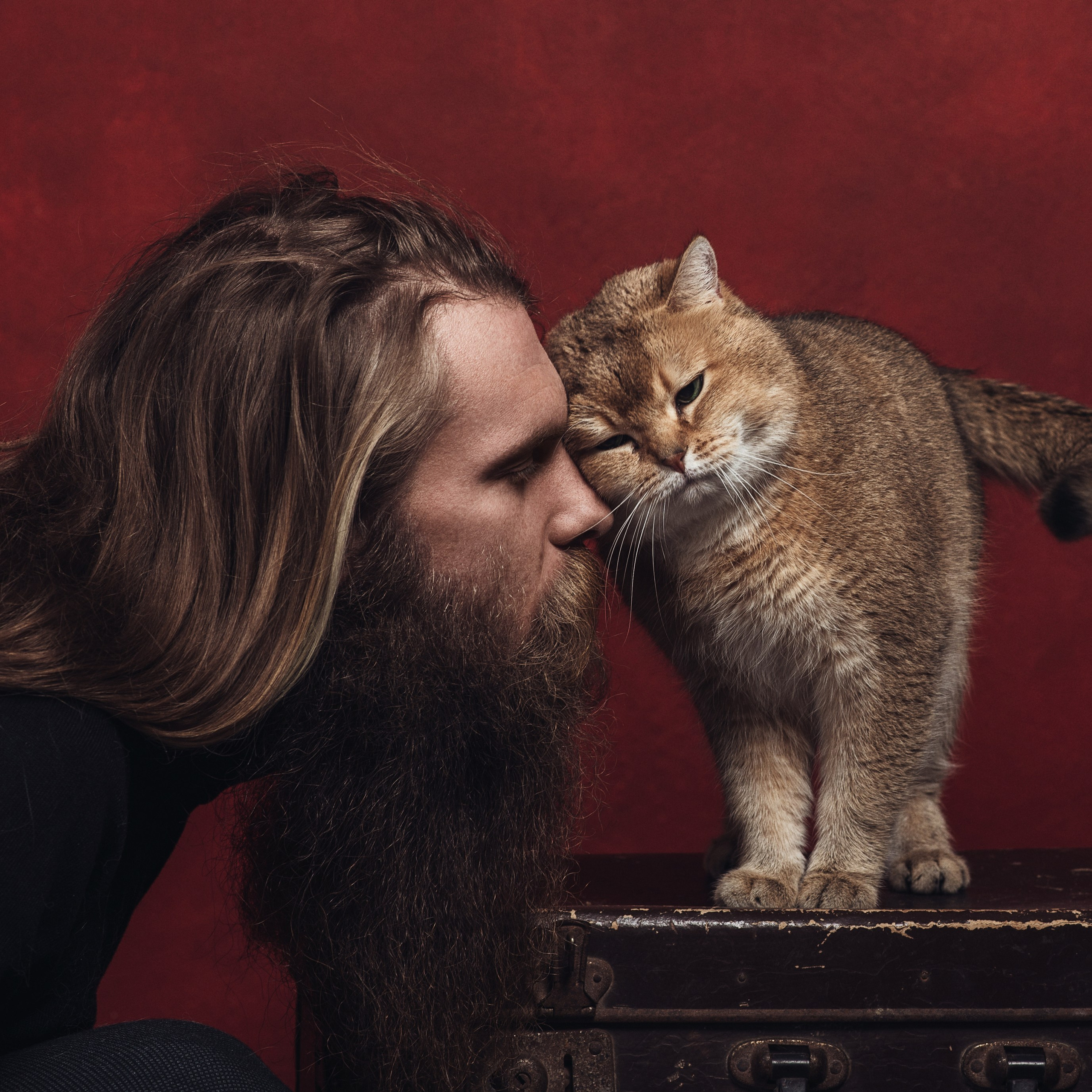 Алексей и коты. Фотографы в Орле Шестопаловы Юлия и Юрий