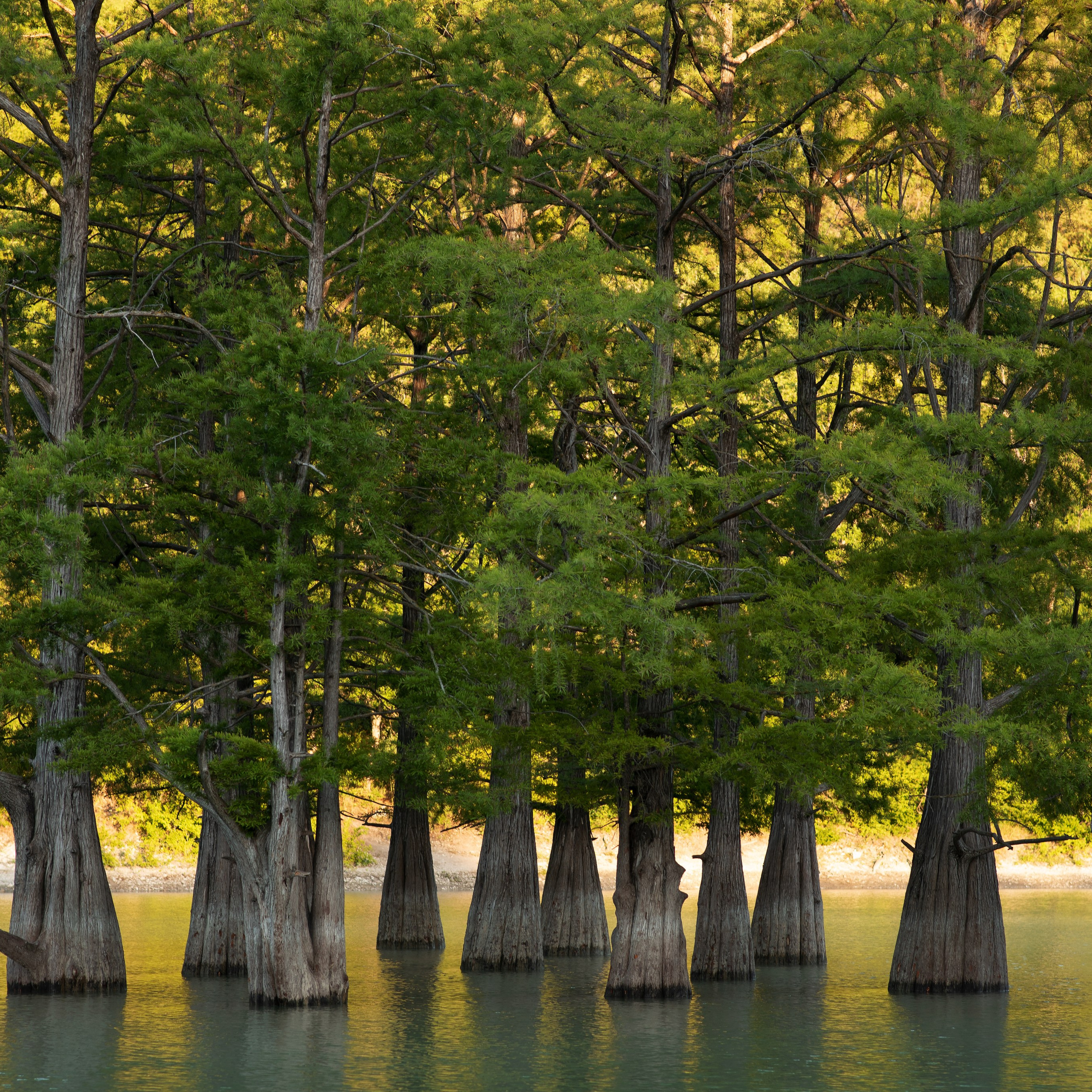 Путешествия. Фотографы в Орле Шестопаловы Юлия и Юрий