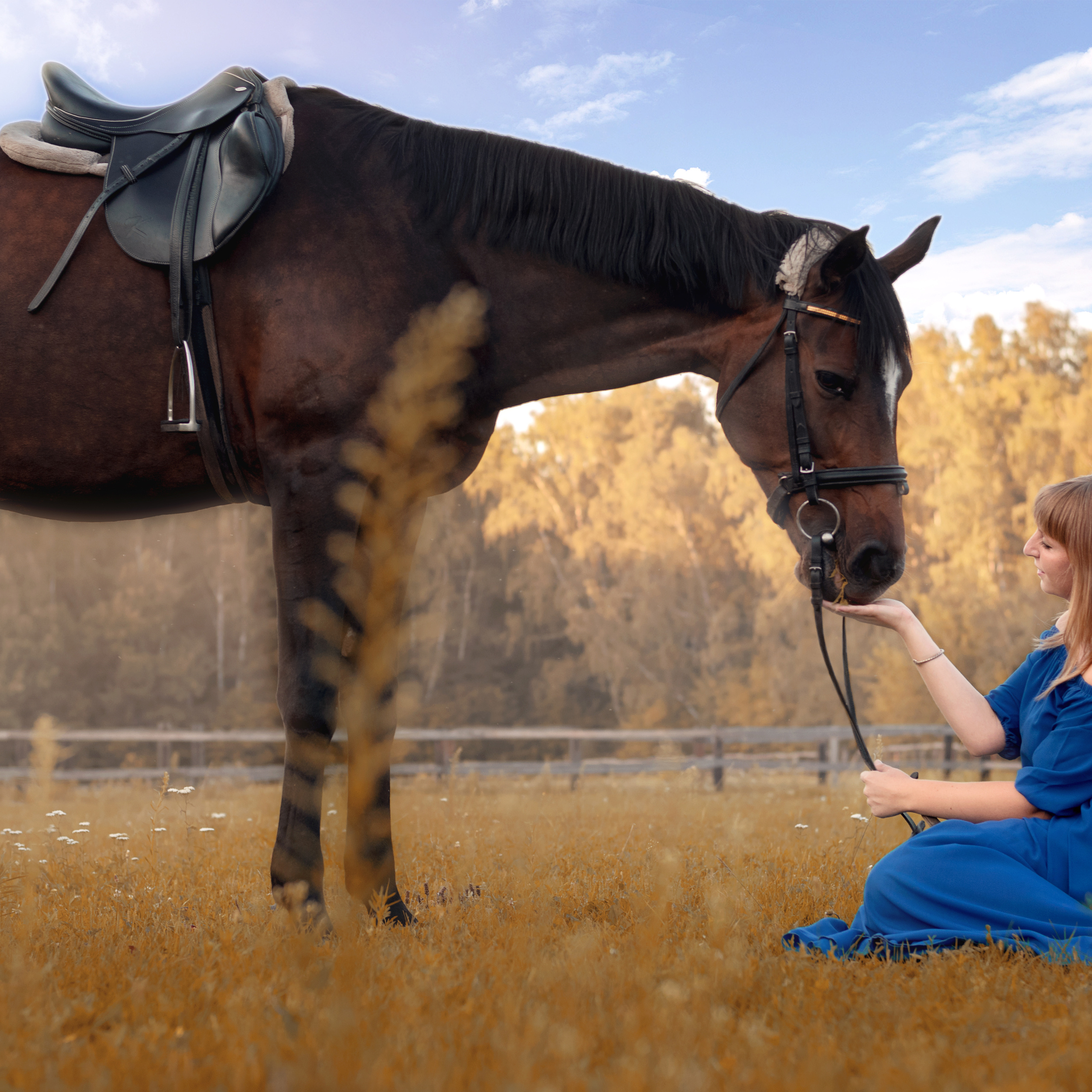 Фотосъемка с животными. Фотографы в Орле Шестопаловы Юлия и Юрий