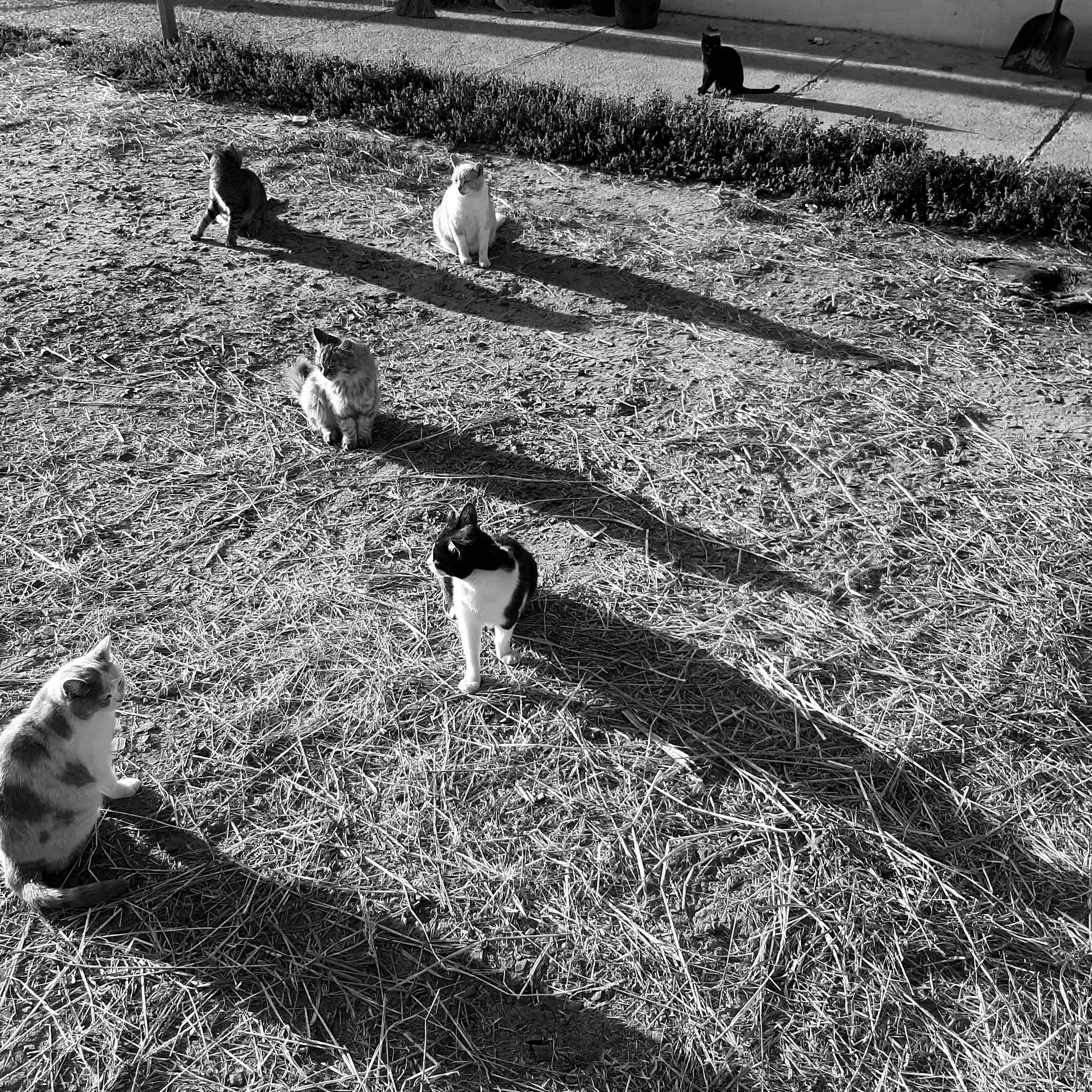 Тени / Shadows. Профессиональный портретный фотограф в Орле Шестопалова Юлия