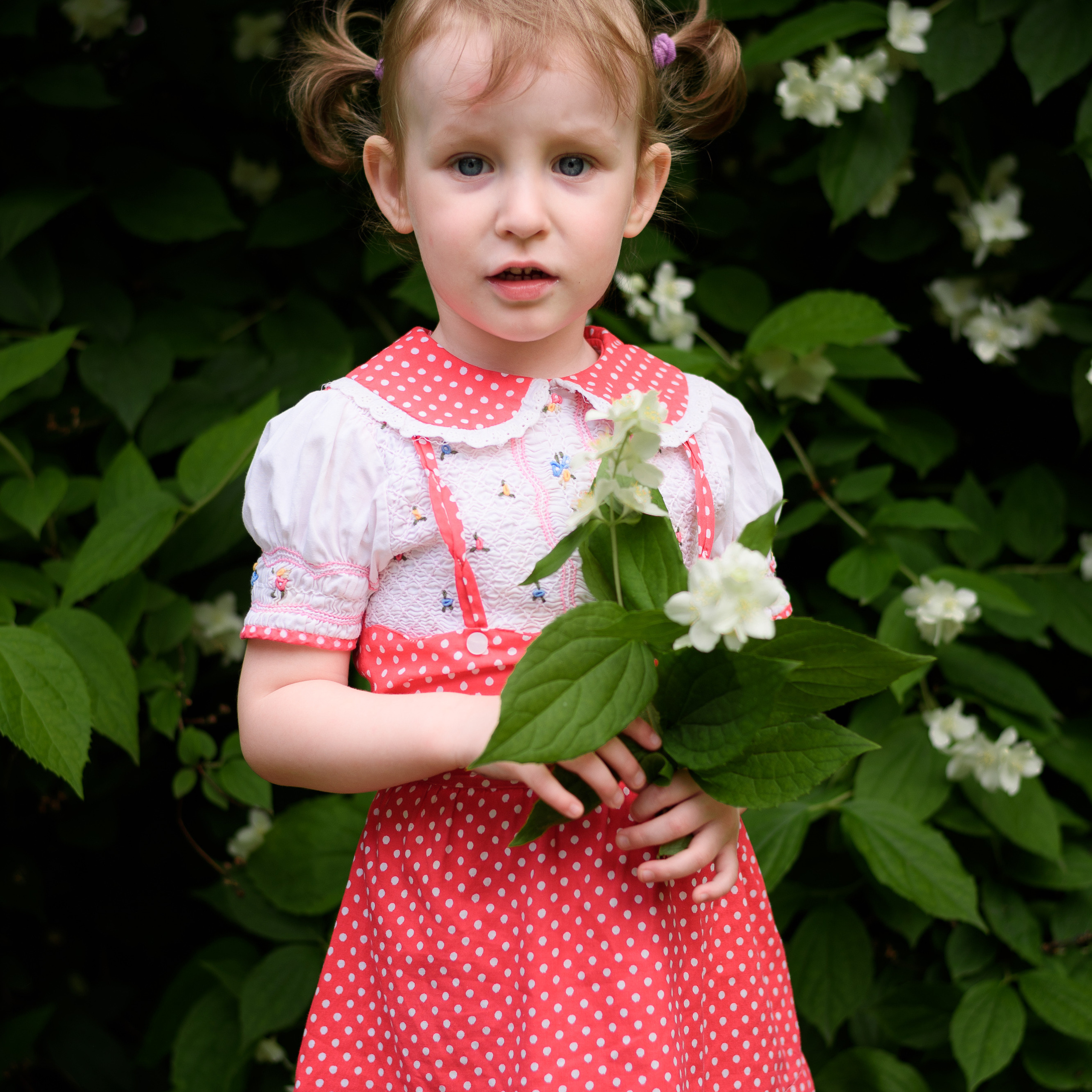 БОЛЬШАЯ семья Поплавных). Фотографы в Орле Шестопаловы Юлия и Юрий