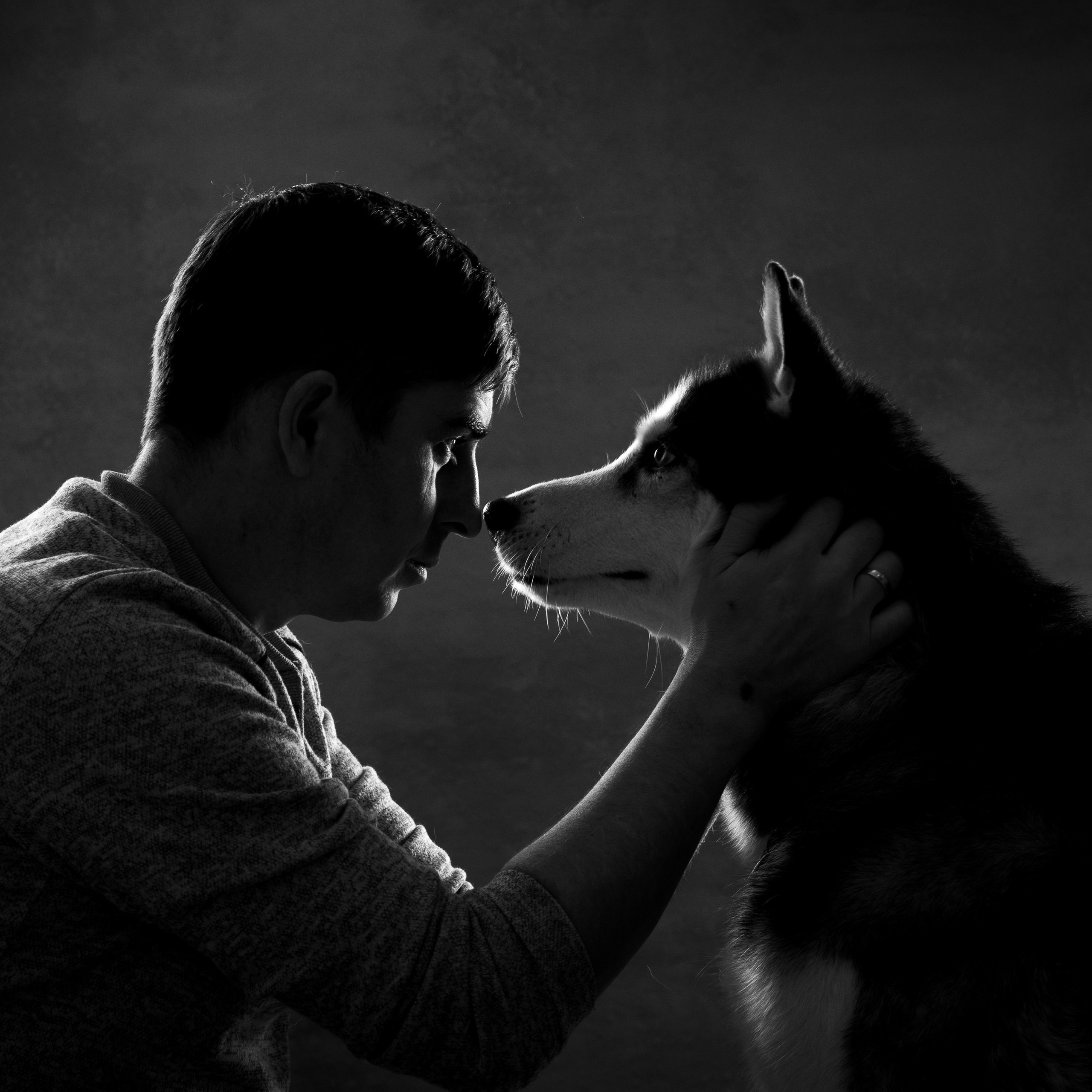 Животные / Animals. Профессиональный портретный фотограф в Орле Шестопалова Юлия