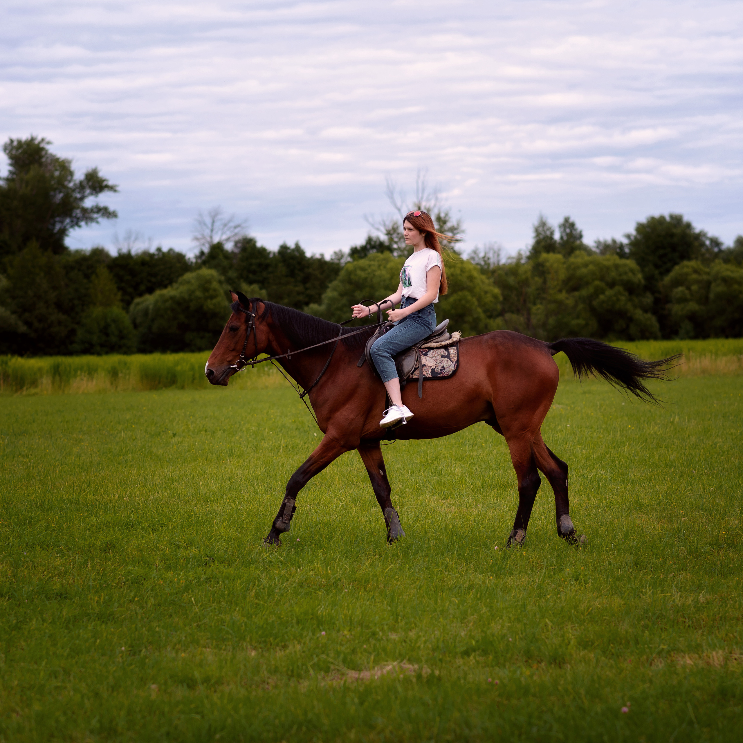 Катя — фотосессия с лошадью. Фотографы в Орле Шестопаловы Юлия и Юрий