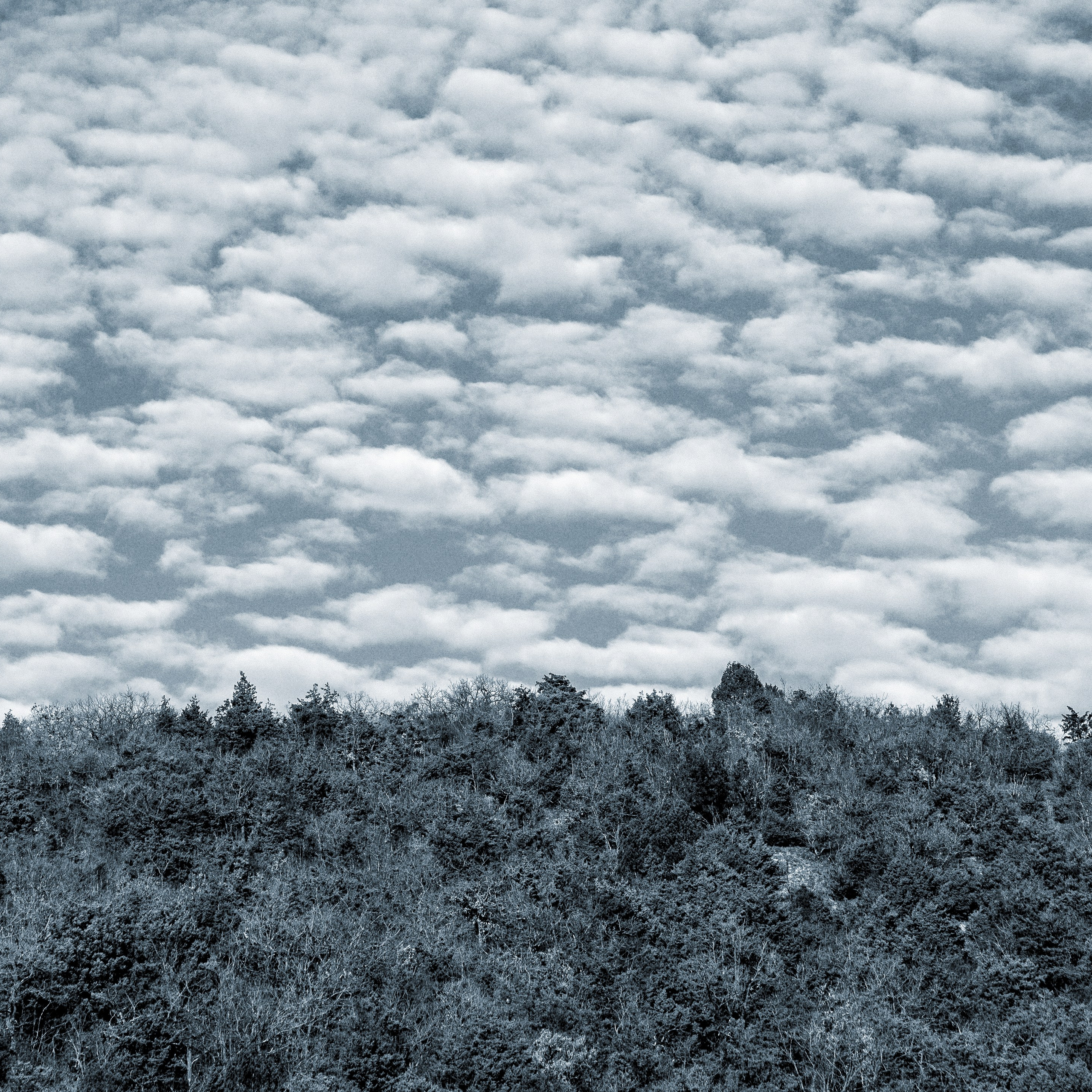 Путешествия. Фотографы в Орле Шестопаловы Юлия и Юрий