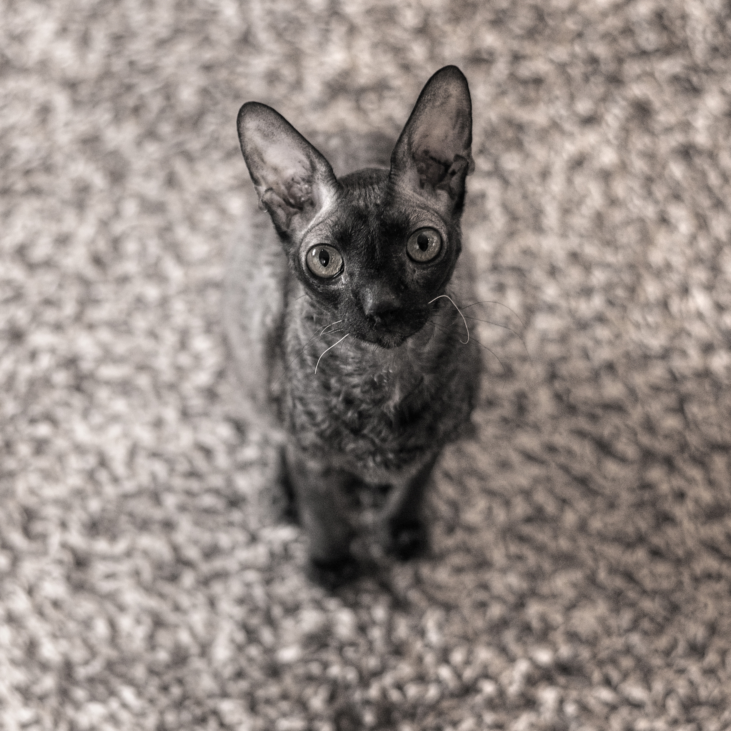 Женя фотосессия дома. Фотографы в Орле Шестопаловы Юлия и Юрий