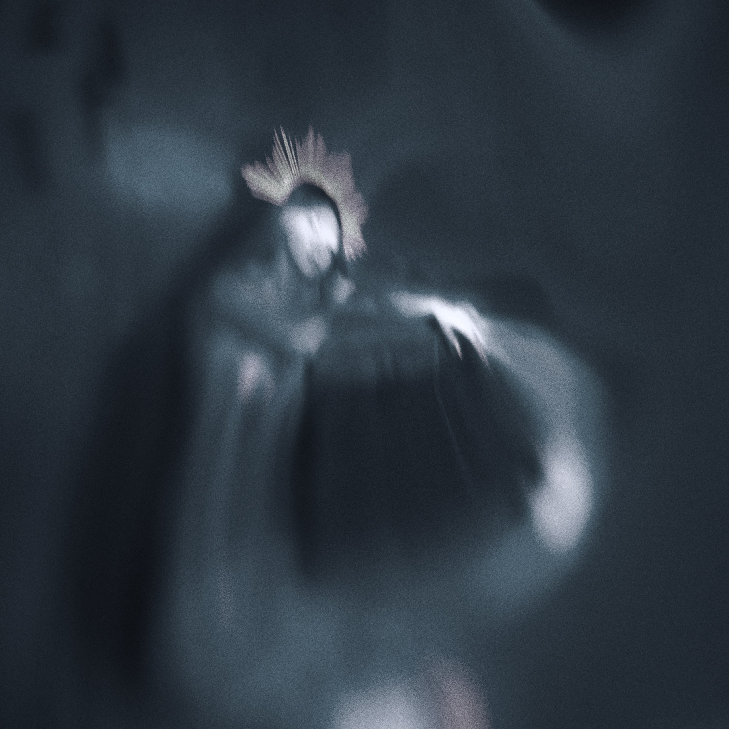 Выставка в НеГалерея современного искусства в Орле летом 2023. Фотографы в Орле Шестопаловы Юлия и Юрий