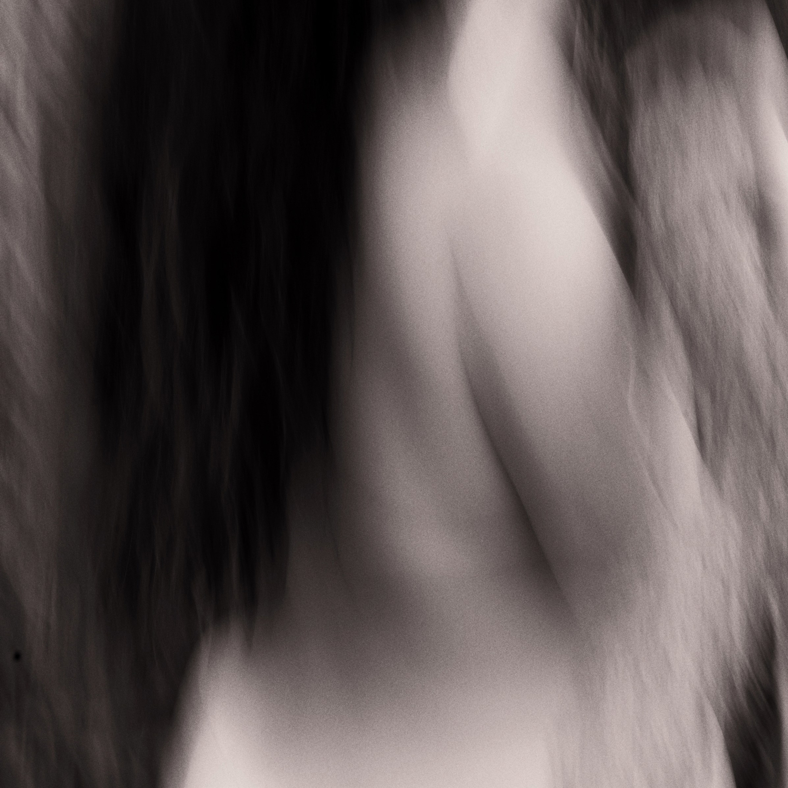 Выставка в НеГалерея современного искусства в Орле летом 2023. Фотографы в Орле Шестопаловы Юлия и Юрий