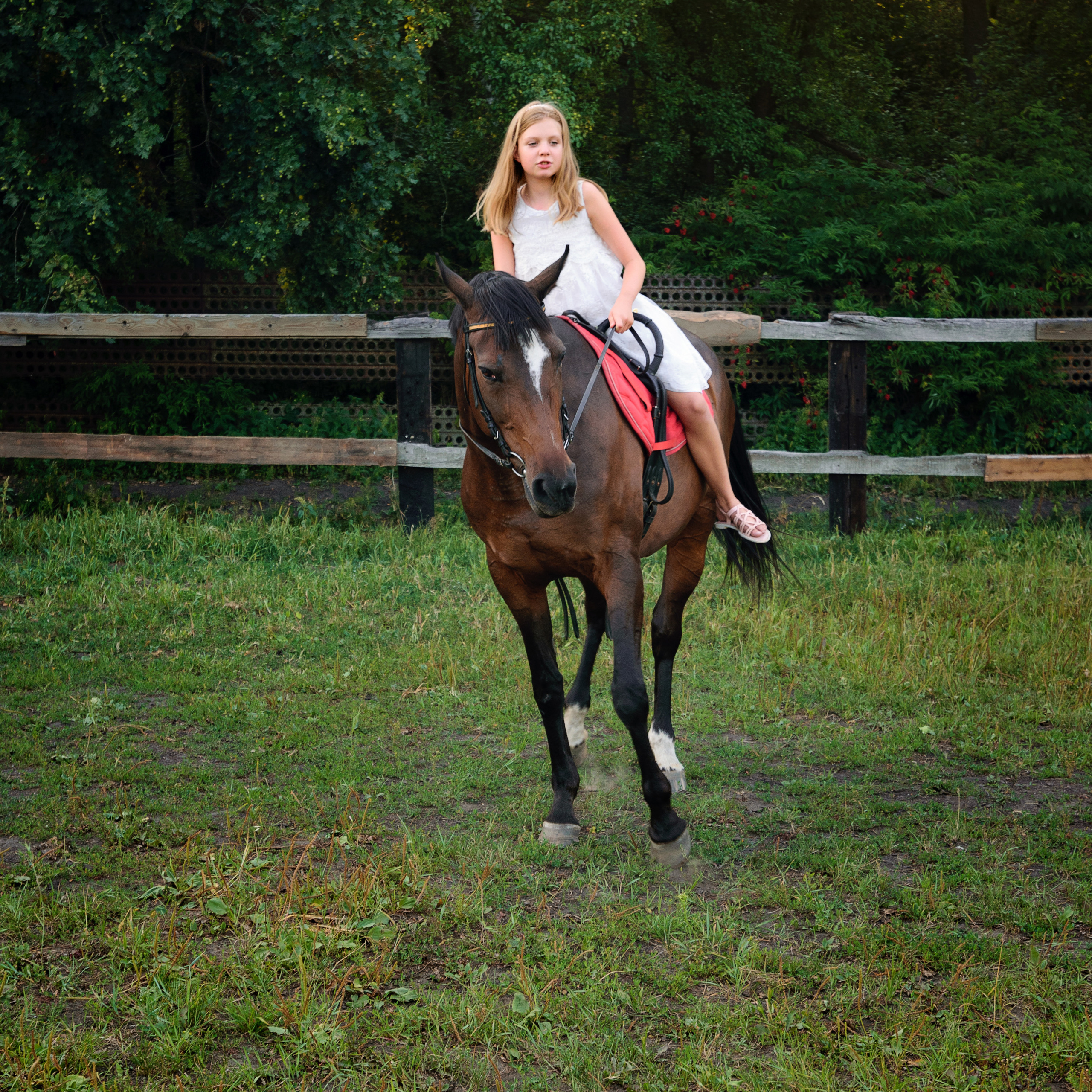 Ксения. Фотографы в Орле Шестопаловы Юлия и Юрий