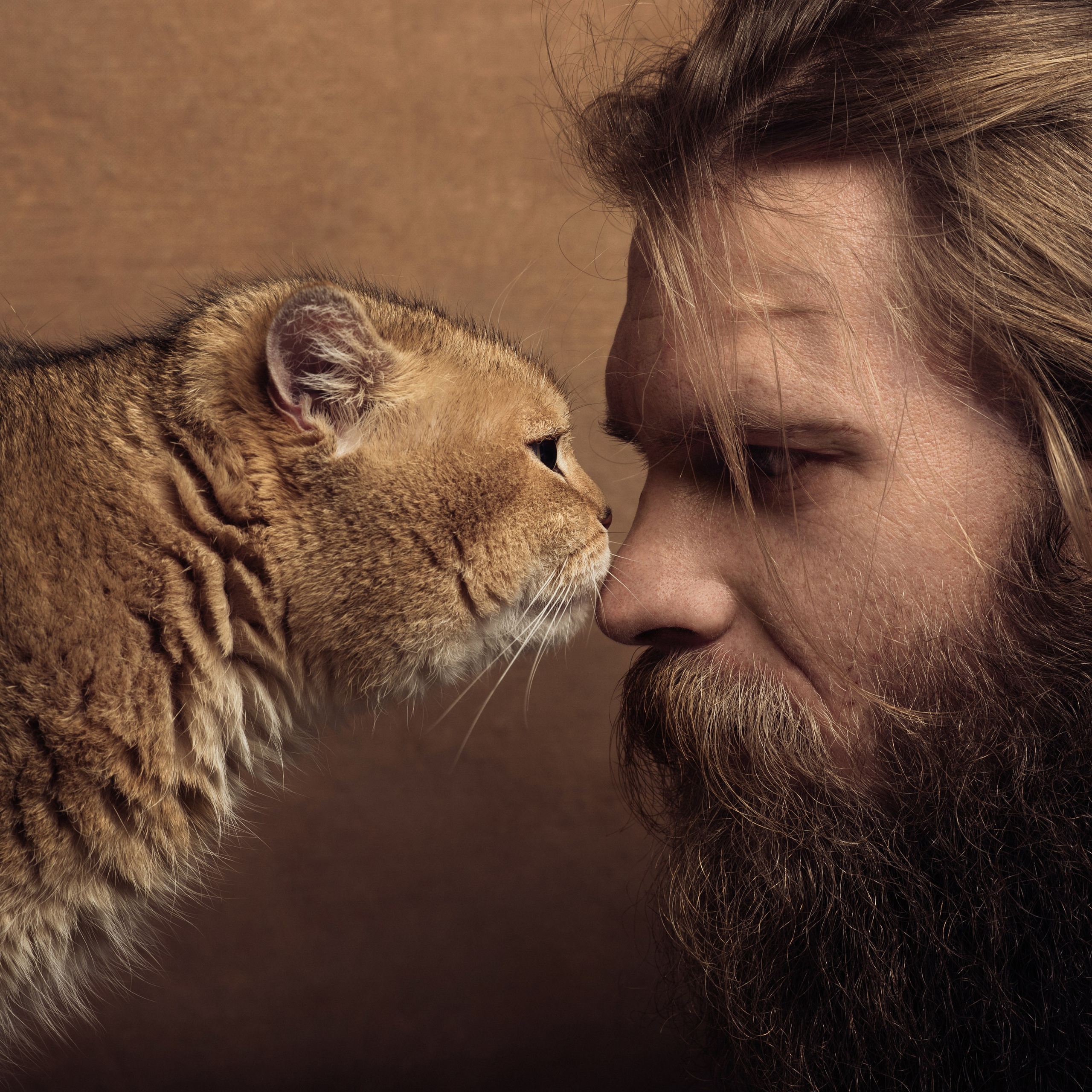 Фотосессия с котом