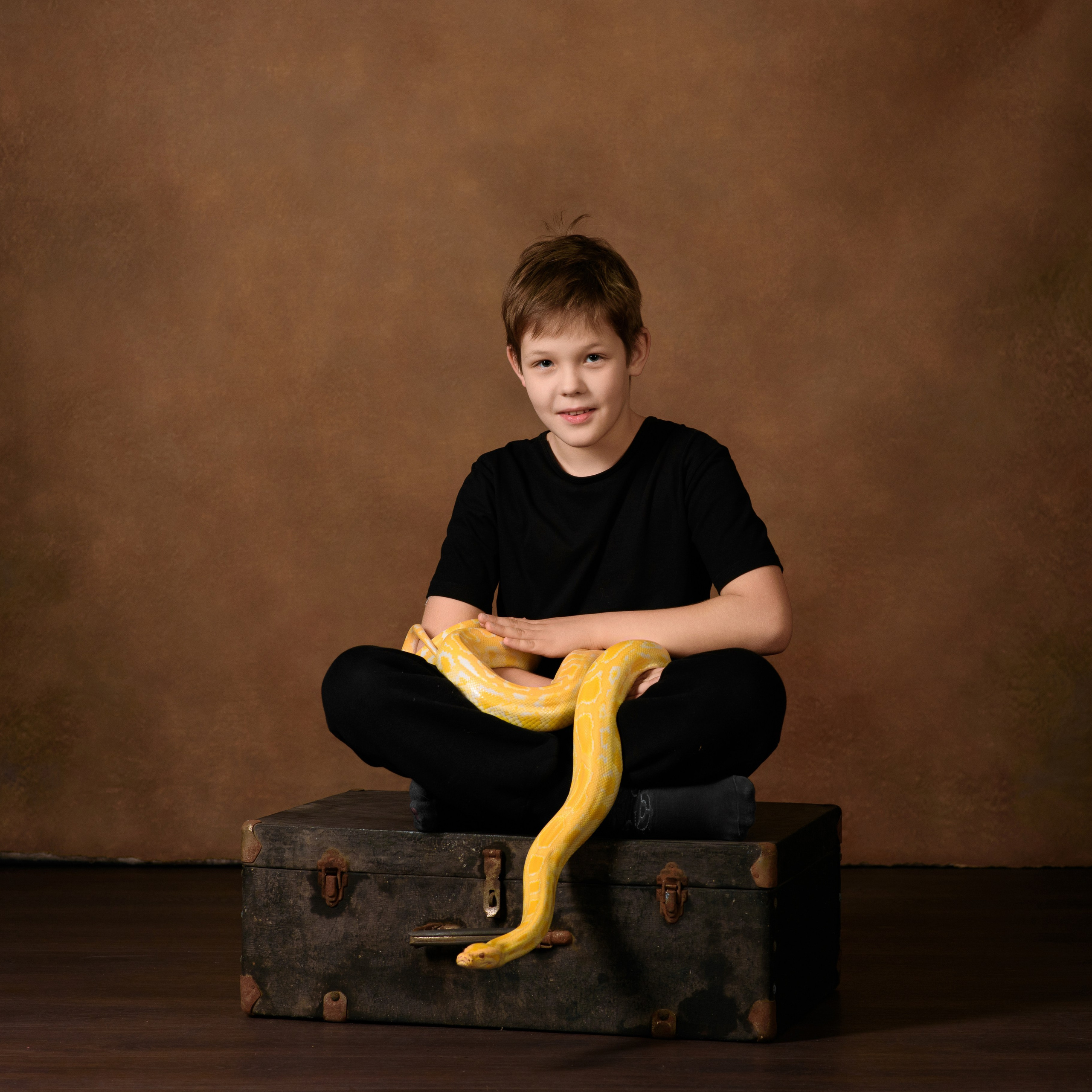 Змеи/питон/удав