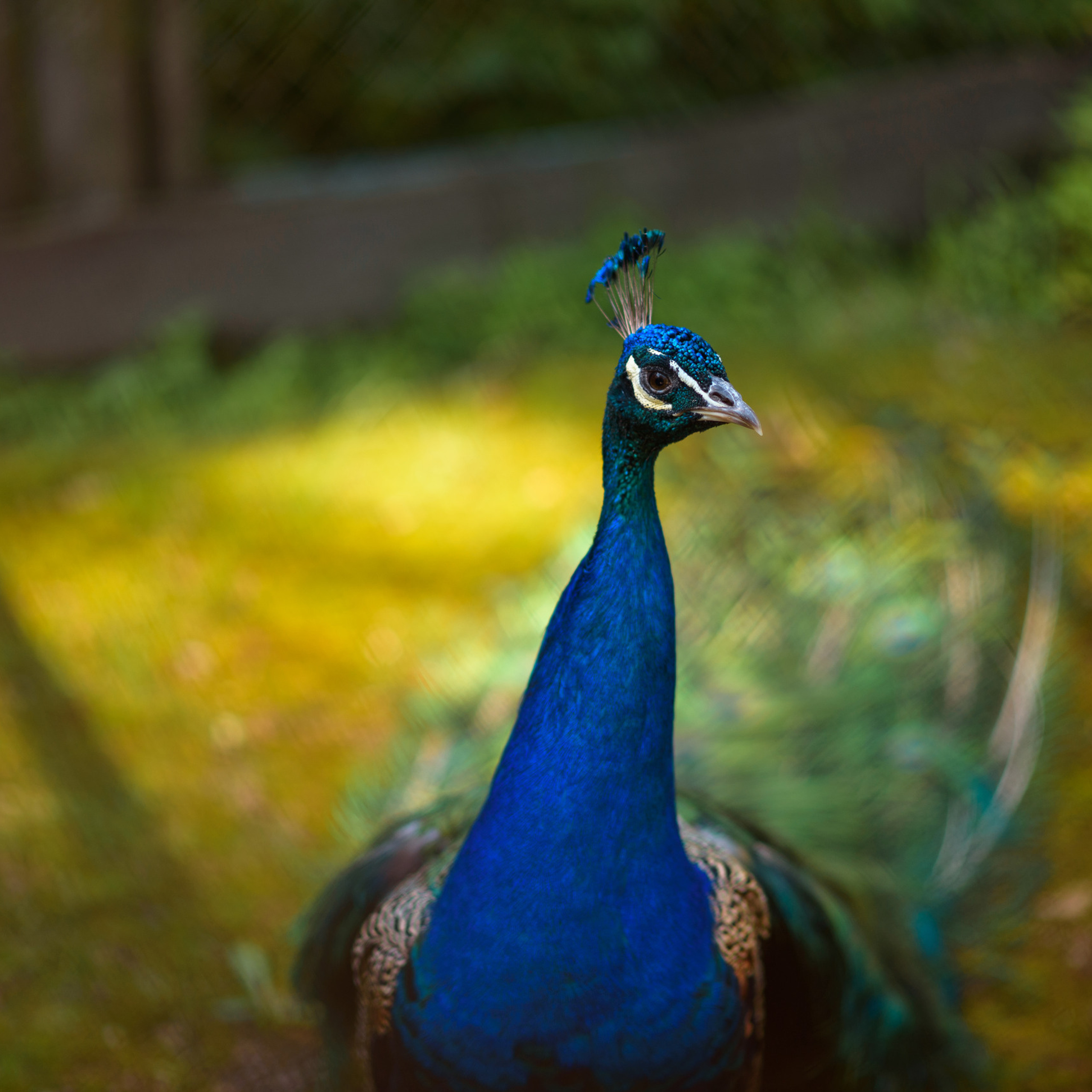 Отзывы Шестопалова Юлия. Фотографы в Орле Шестопаловы Юлия и Юрий