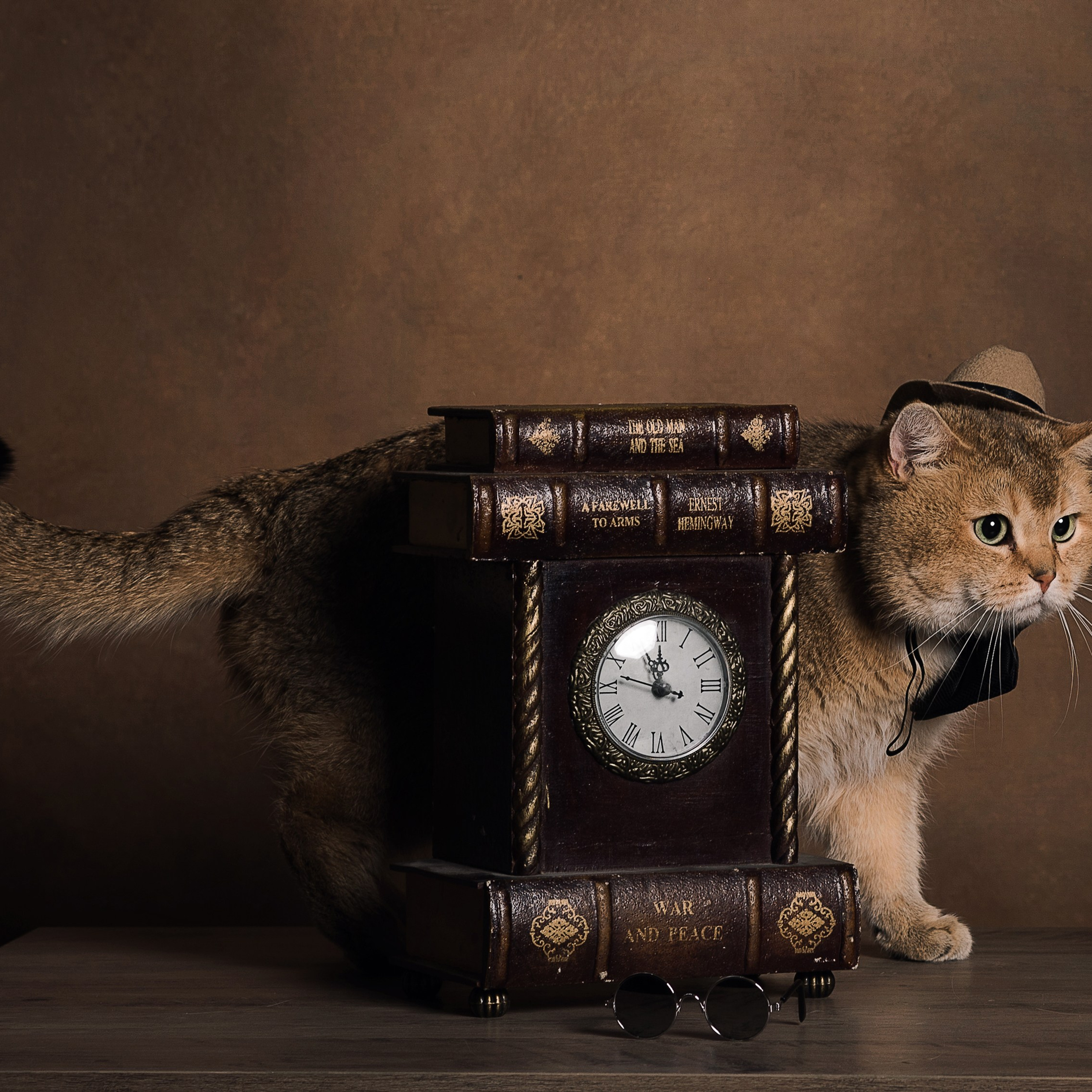 Алексей и коты. Фотографы в Орле Шестопаловы Юлия и Юрий