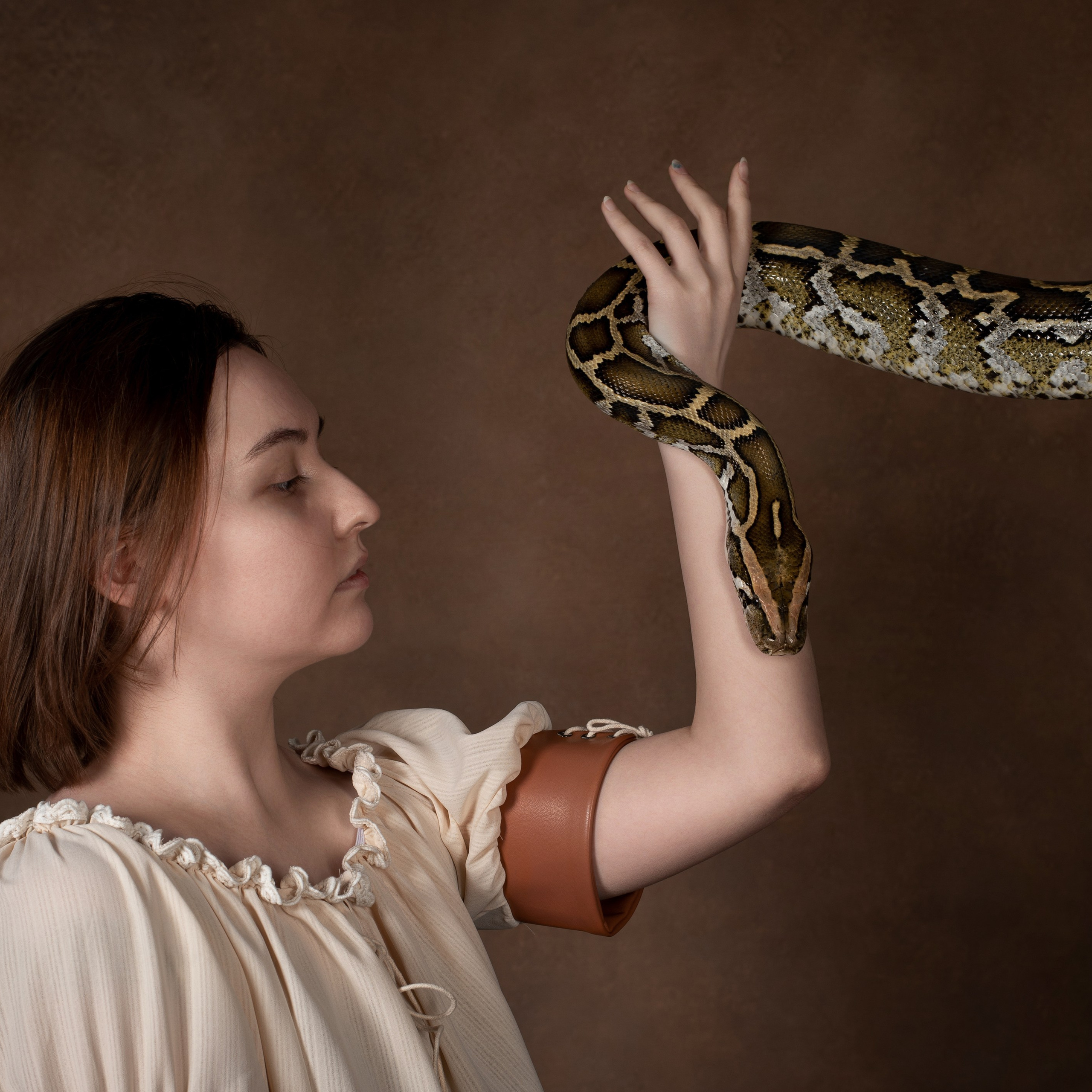 Змеи/питон/удав