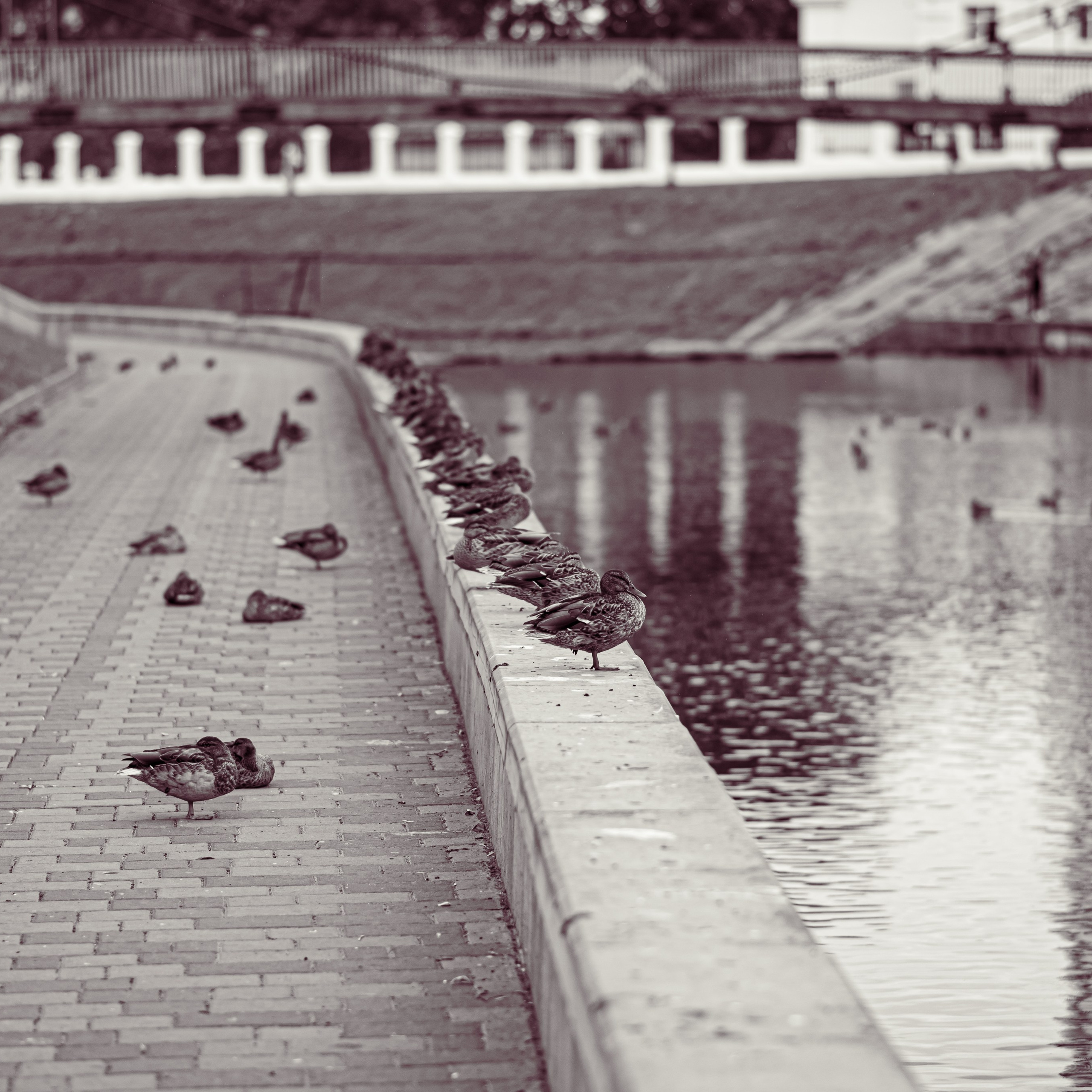 Путешествия. Фотографы в Орле Шестопаловы Юлия и Юрий