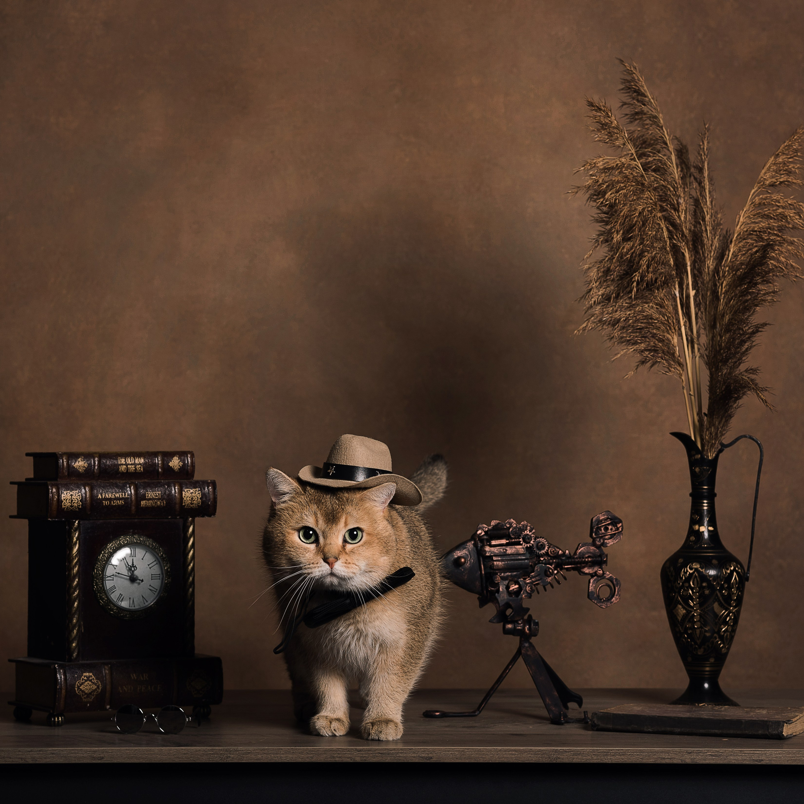 Алексей и коты. Фотографы в Орле Шестопаловы Юлия и Юрий