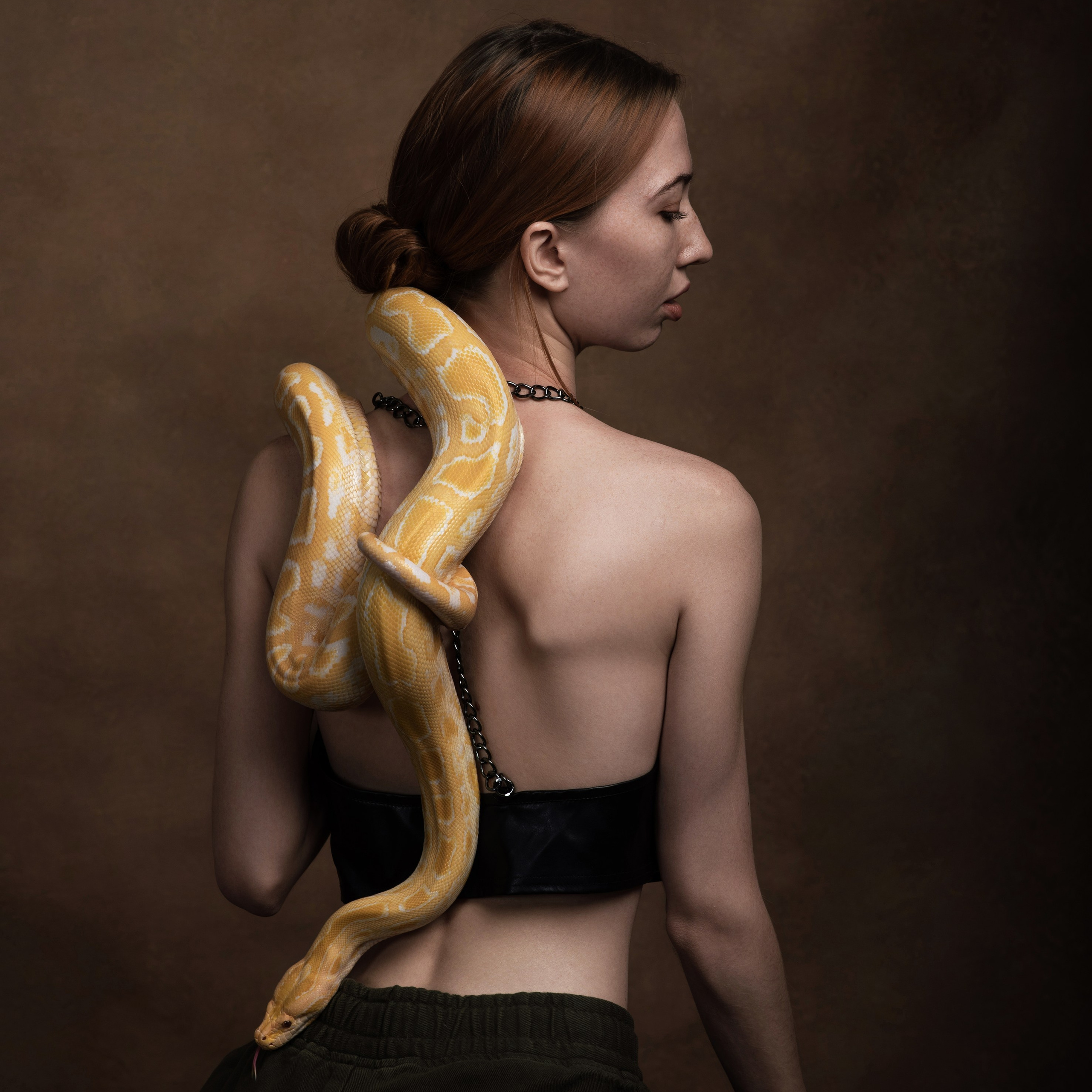 Змеи/питон/удав