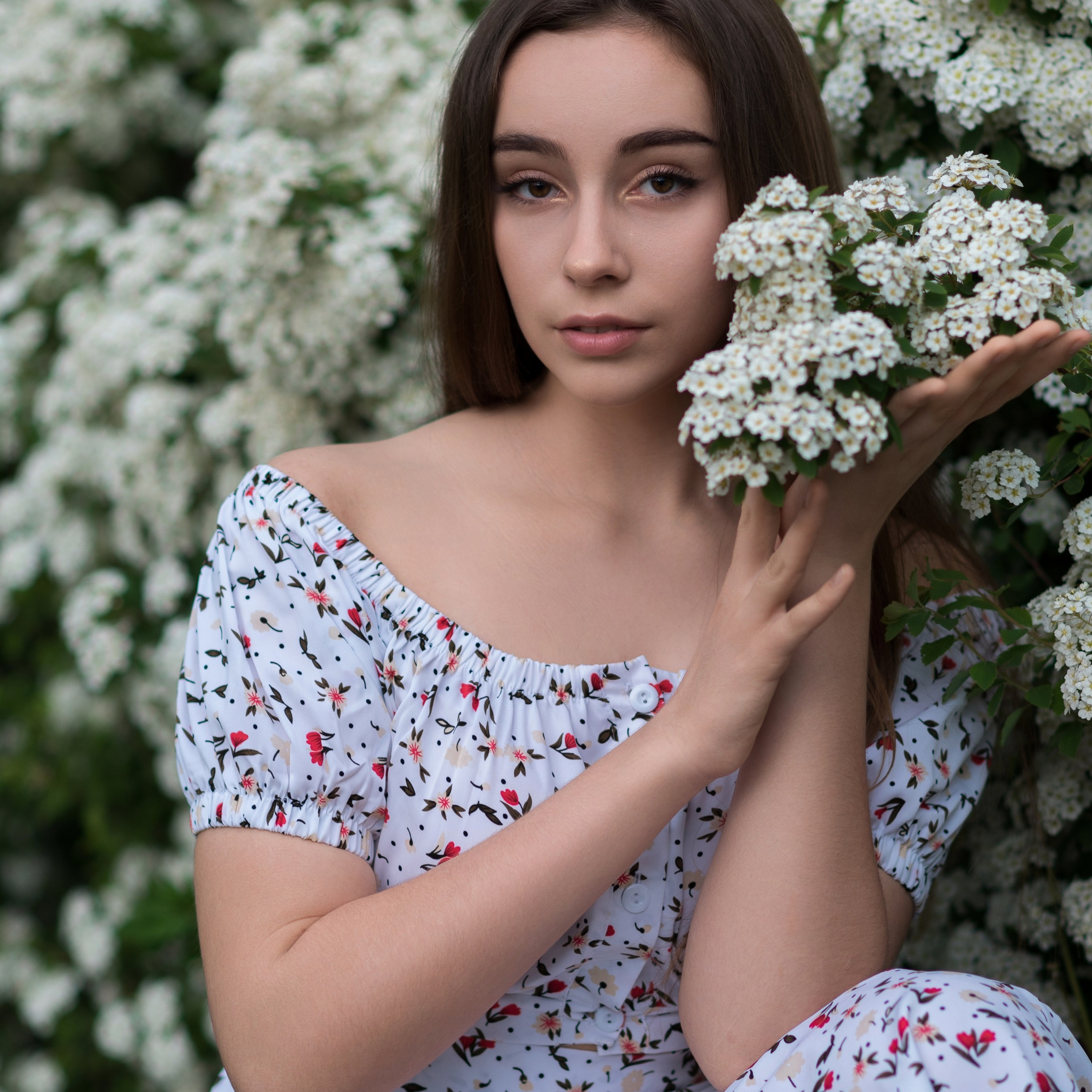 София, сирень. Фотографы в Орле Шестопаловы Юлия и Юрий