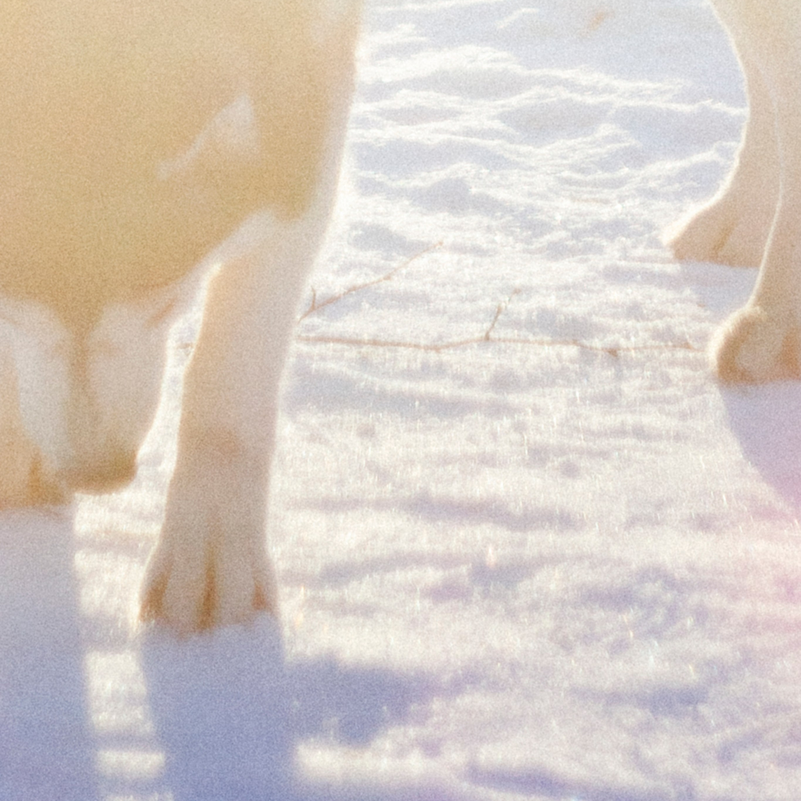 В Алексеевском саду
