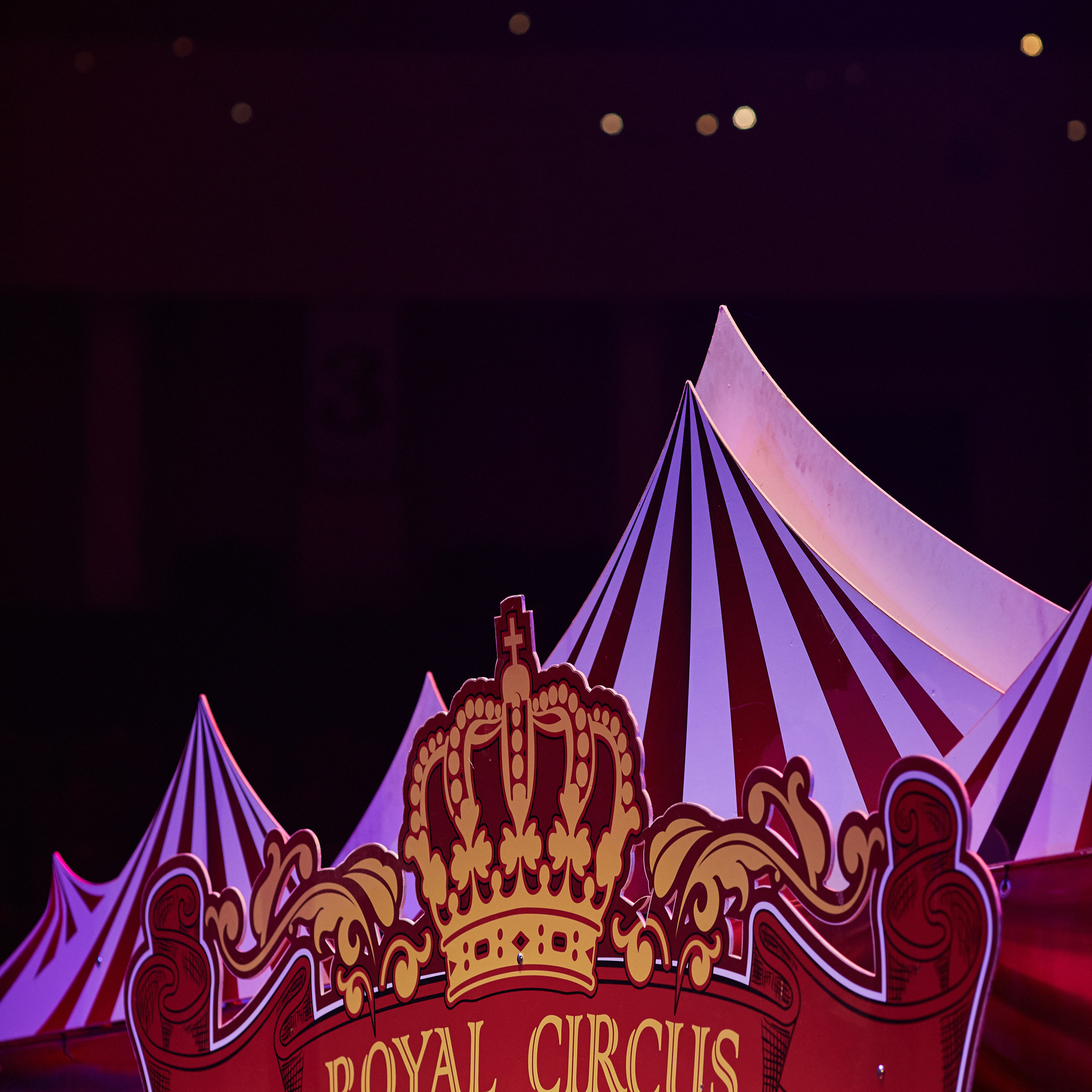 Отзывы. Фотограф Максим Маркелов