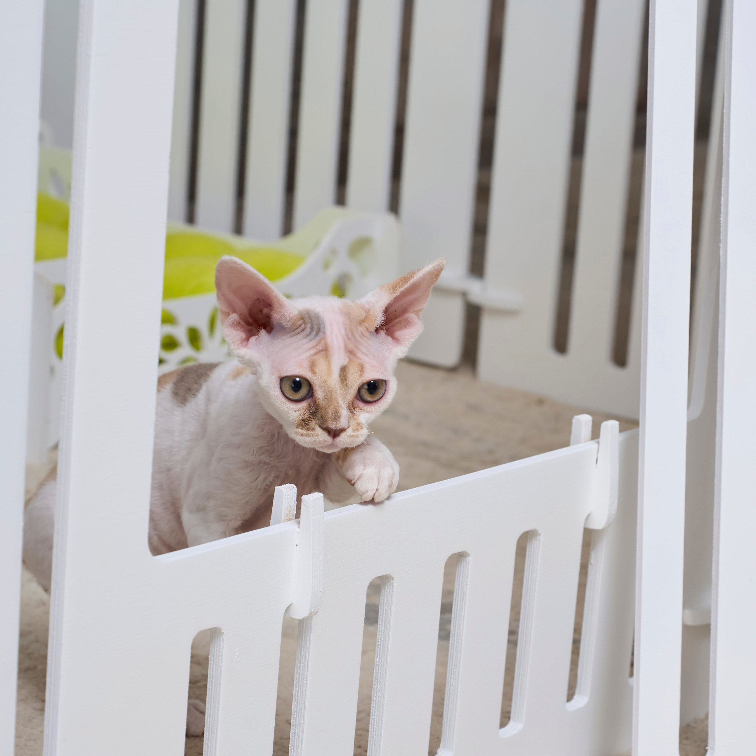 Вольер 12 Секций Белый. Murstyle