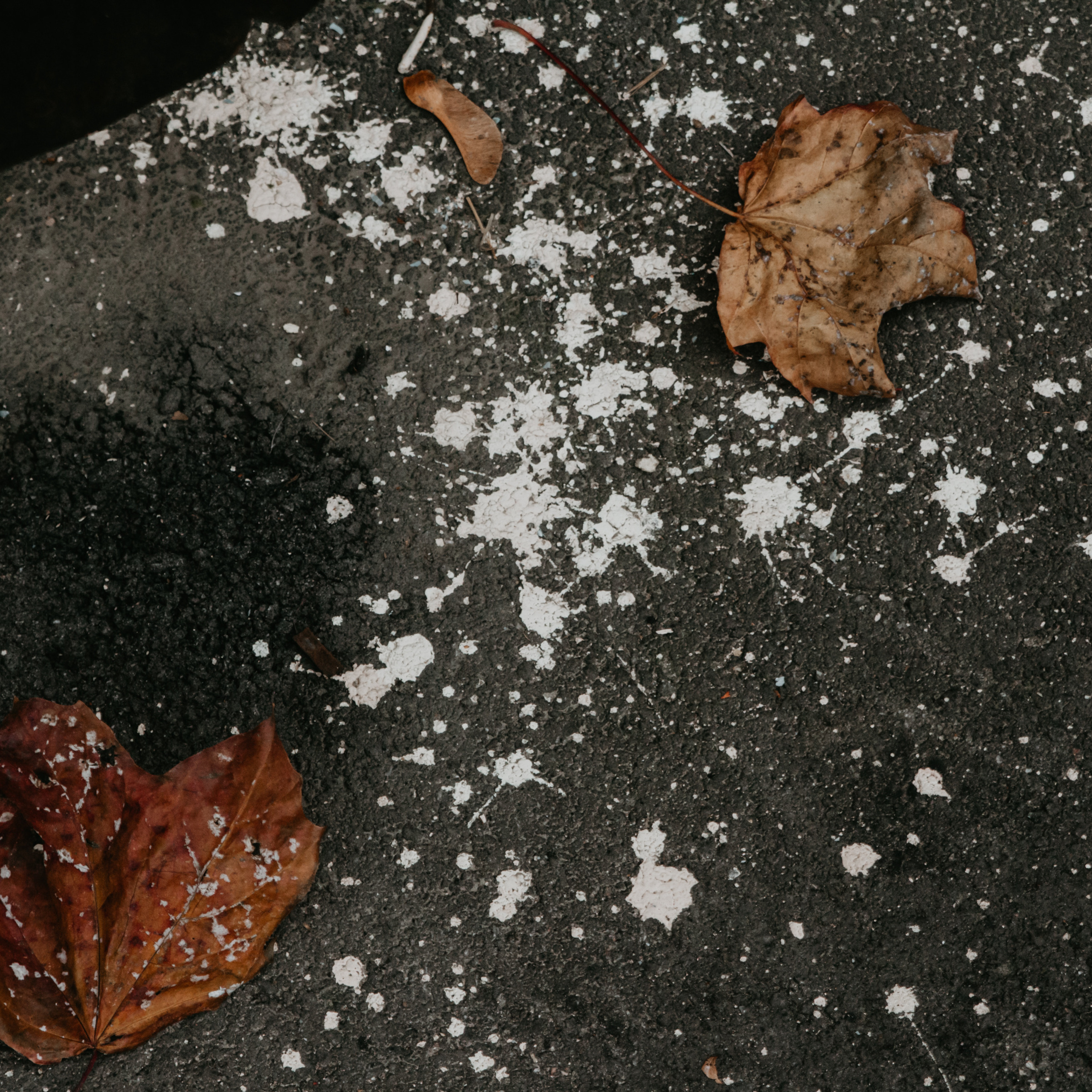 Отзывы о контент фотографе. Контент-фотограф Юлия|Санкт-Петербург|Питер