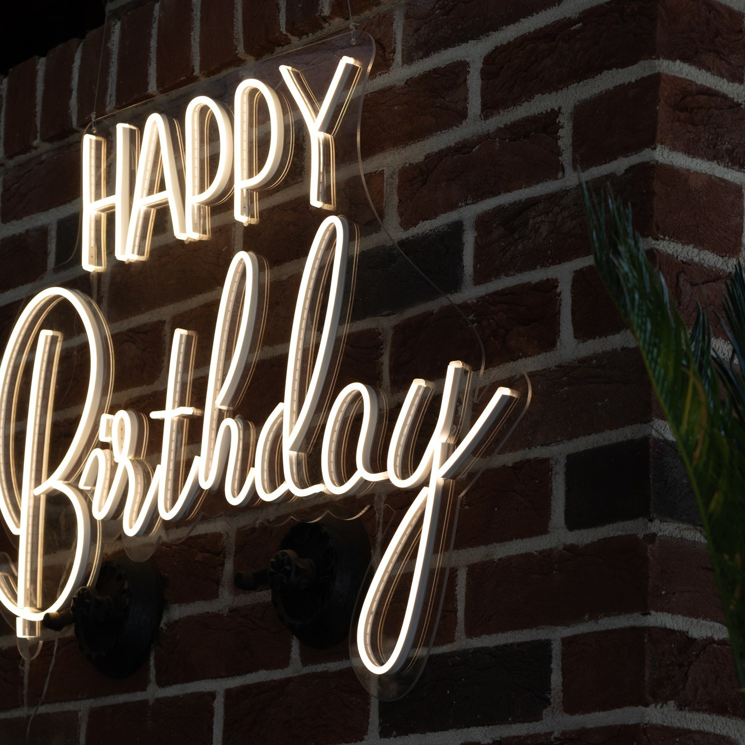 Дмитрий и Екатерина