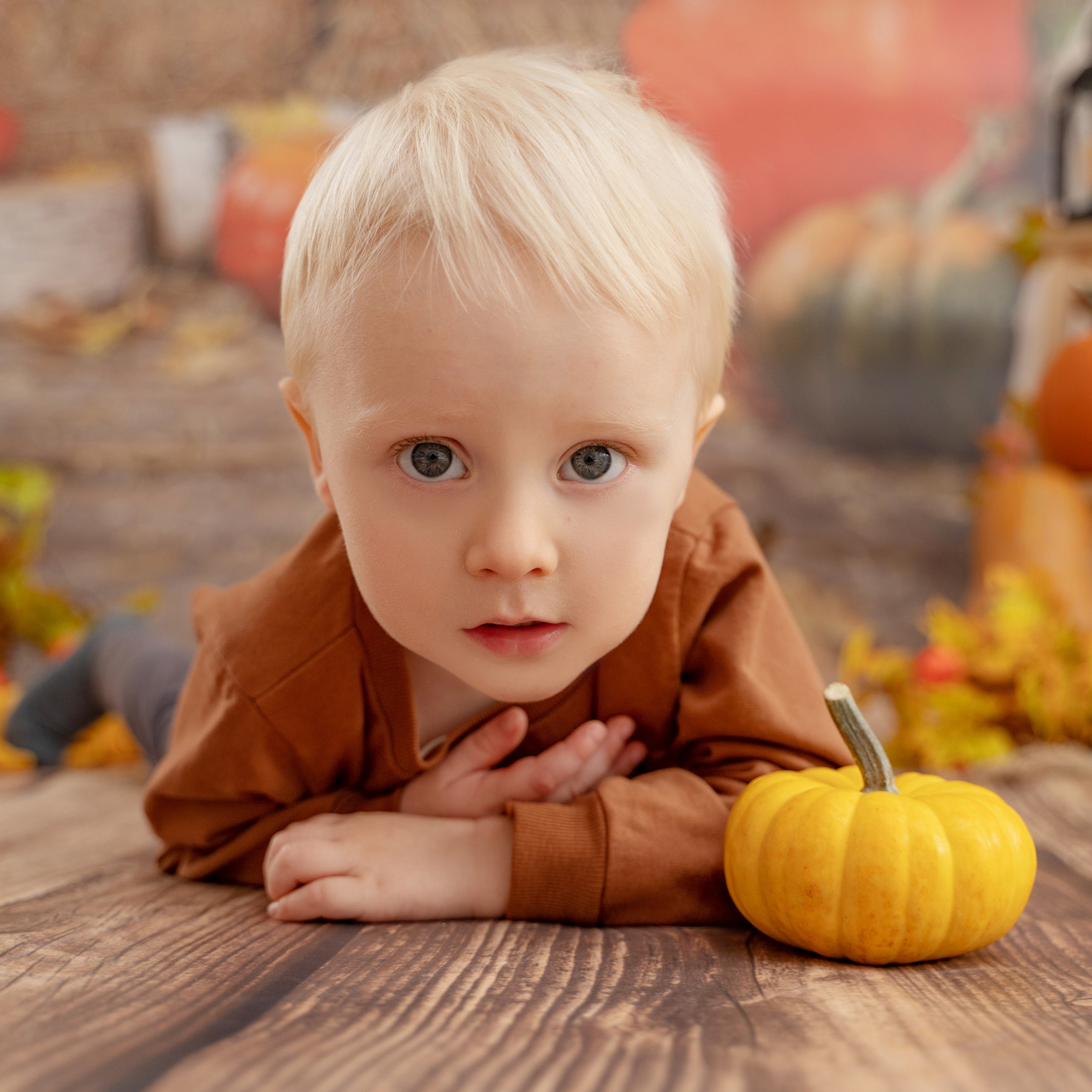Отзывы. Детская выездная фотостудия. Фотограф новорождённых newborn, годовасие