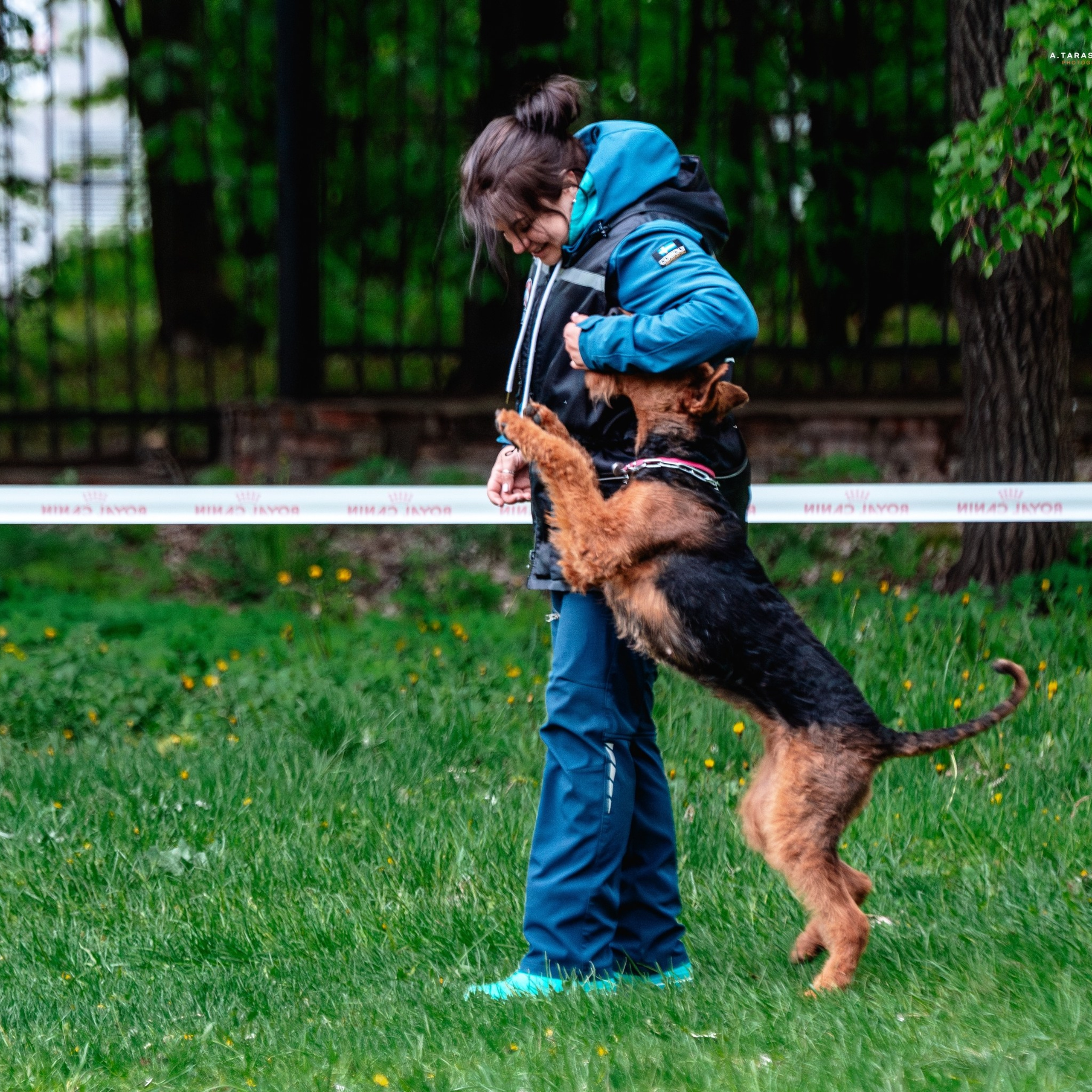 Отзывы. Фотограф-анималист, семейный фотограф в Москве и Подмосковье. Фотосъёмка кинологических дисциплин